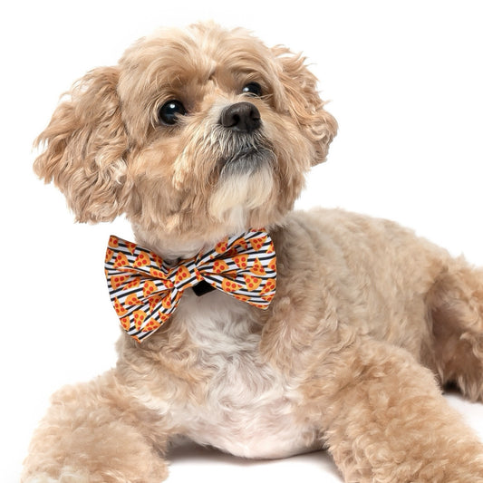 PIZZA WITH STRIPES -  BOW TIE