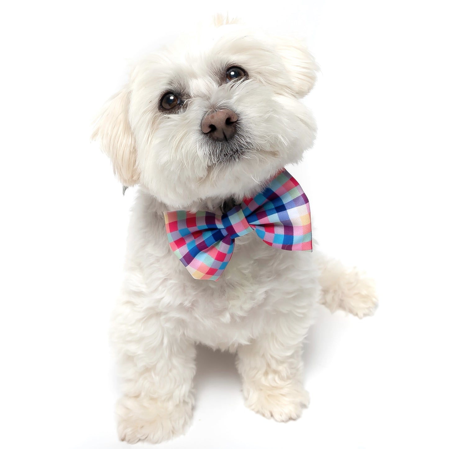 RAINBOW PLAID (RETIRED PRINT) - BOW TIE