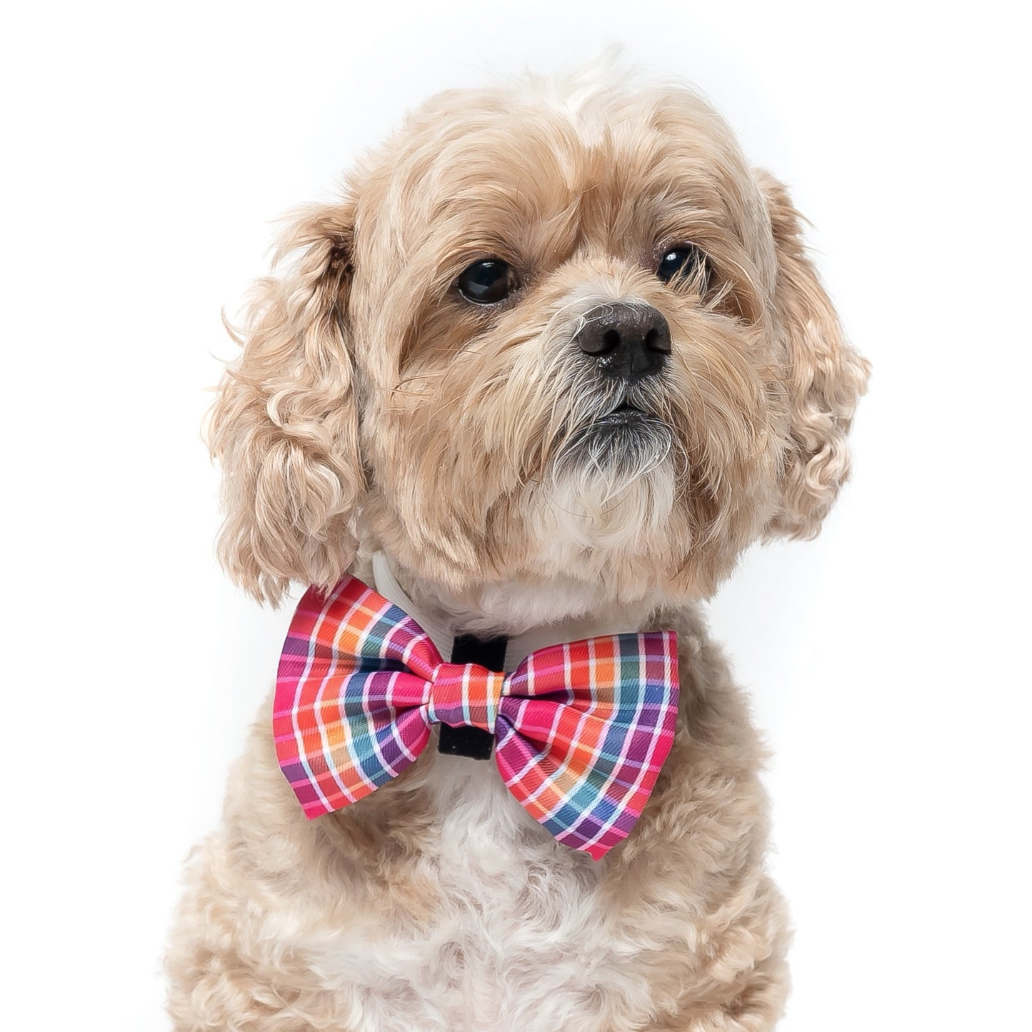 SUMMER PLAID - BOW TIE