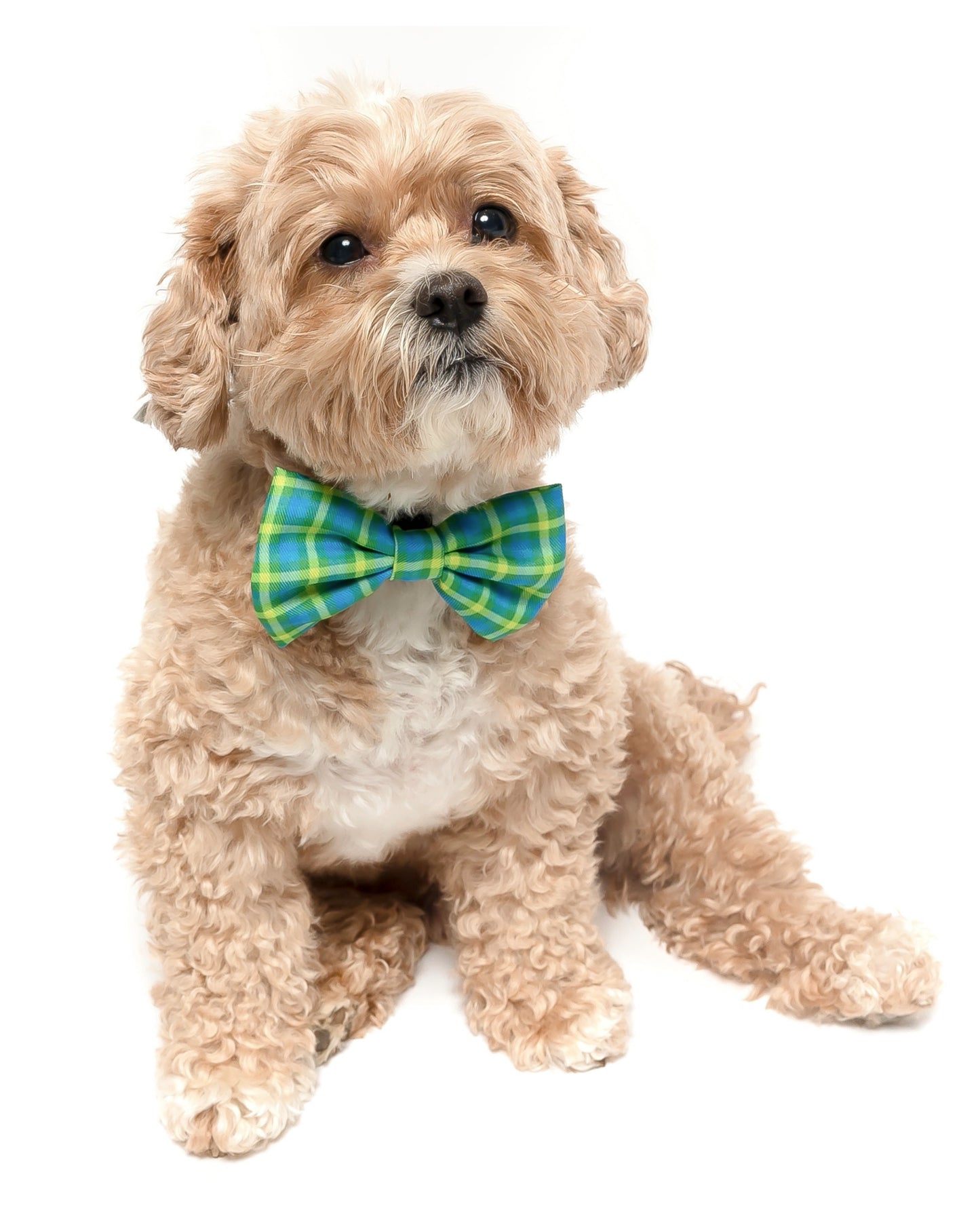 LIME PLAID - BOW TIE