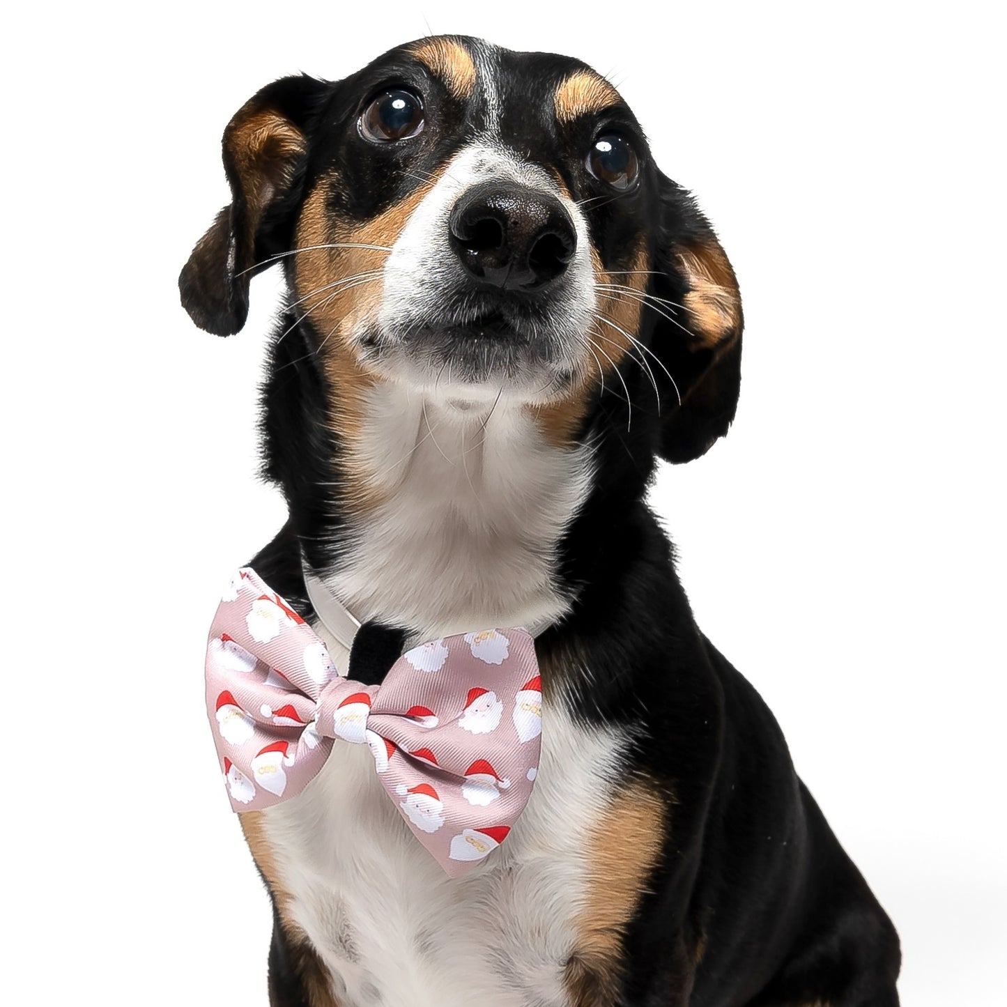 SANTA - BOW TIE