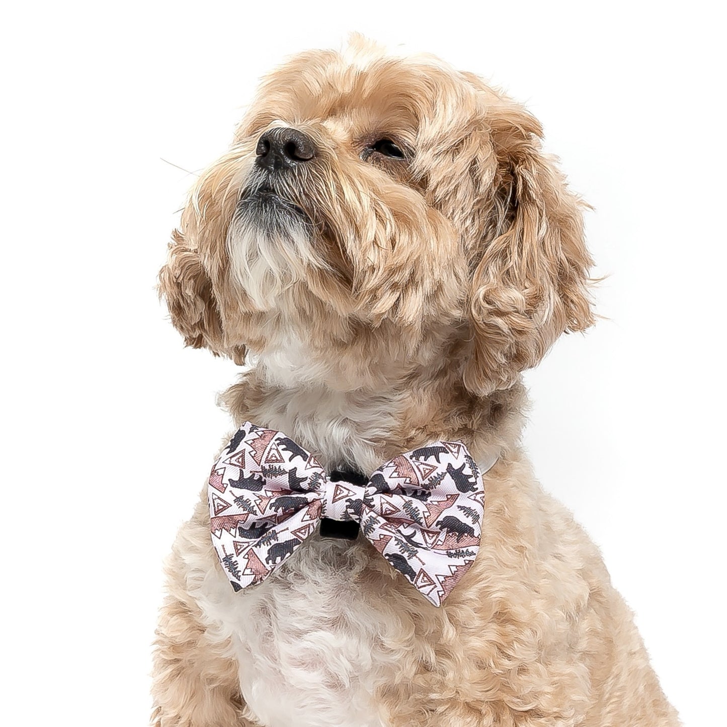 MOUNTAIN LIFE - BOW TIE