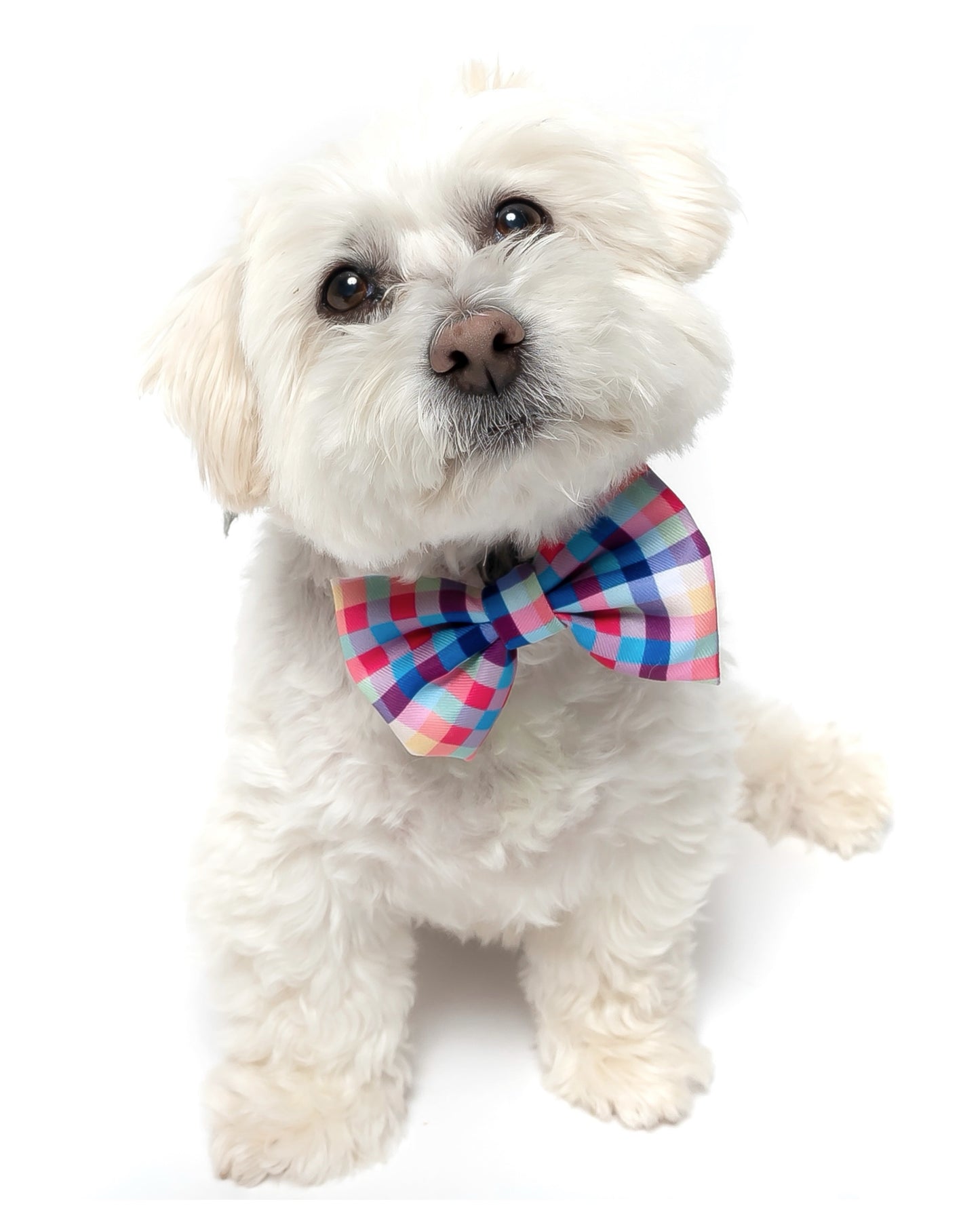 RAINBOW PLAID (RETIRED PRINT) - BOW TIE