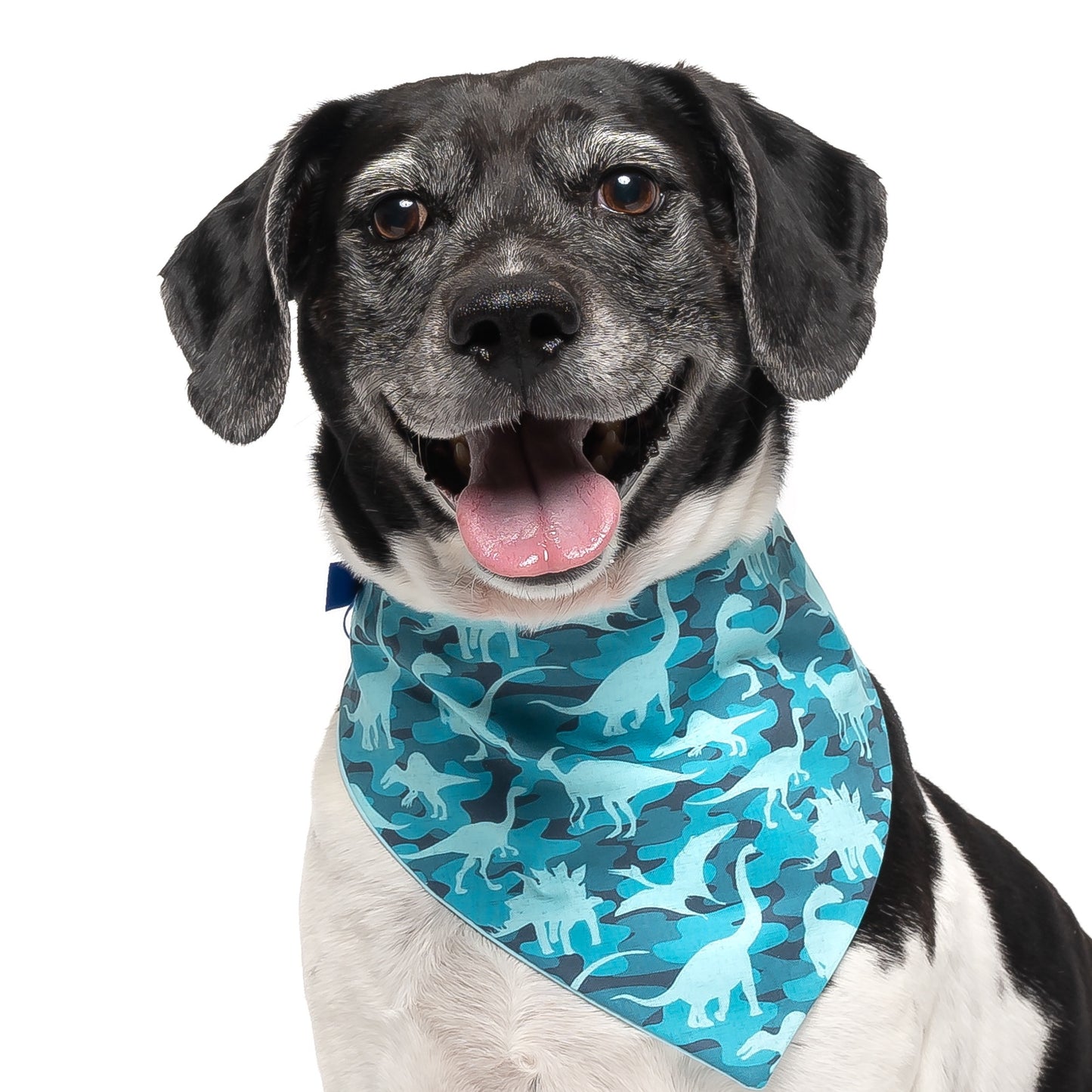 DINOSAURS - CLASSIC DOG BANDANA