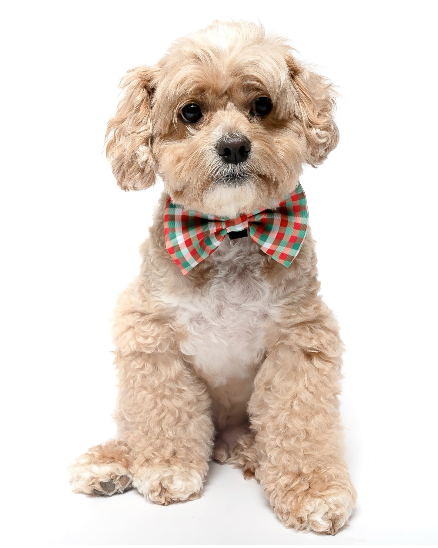 RED, GREEN AND WHITE PLAID - BOW TIE
