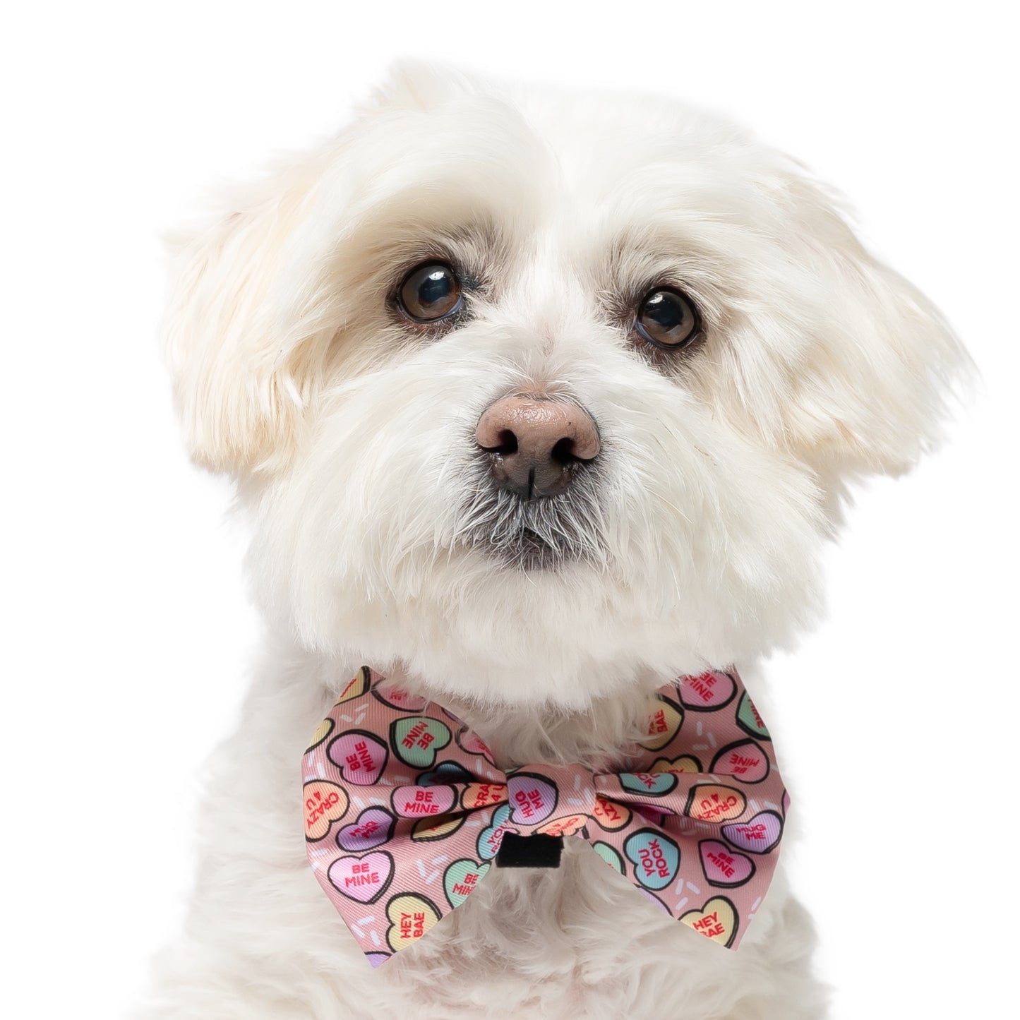 CANDY HEARTS - BOW TIE