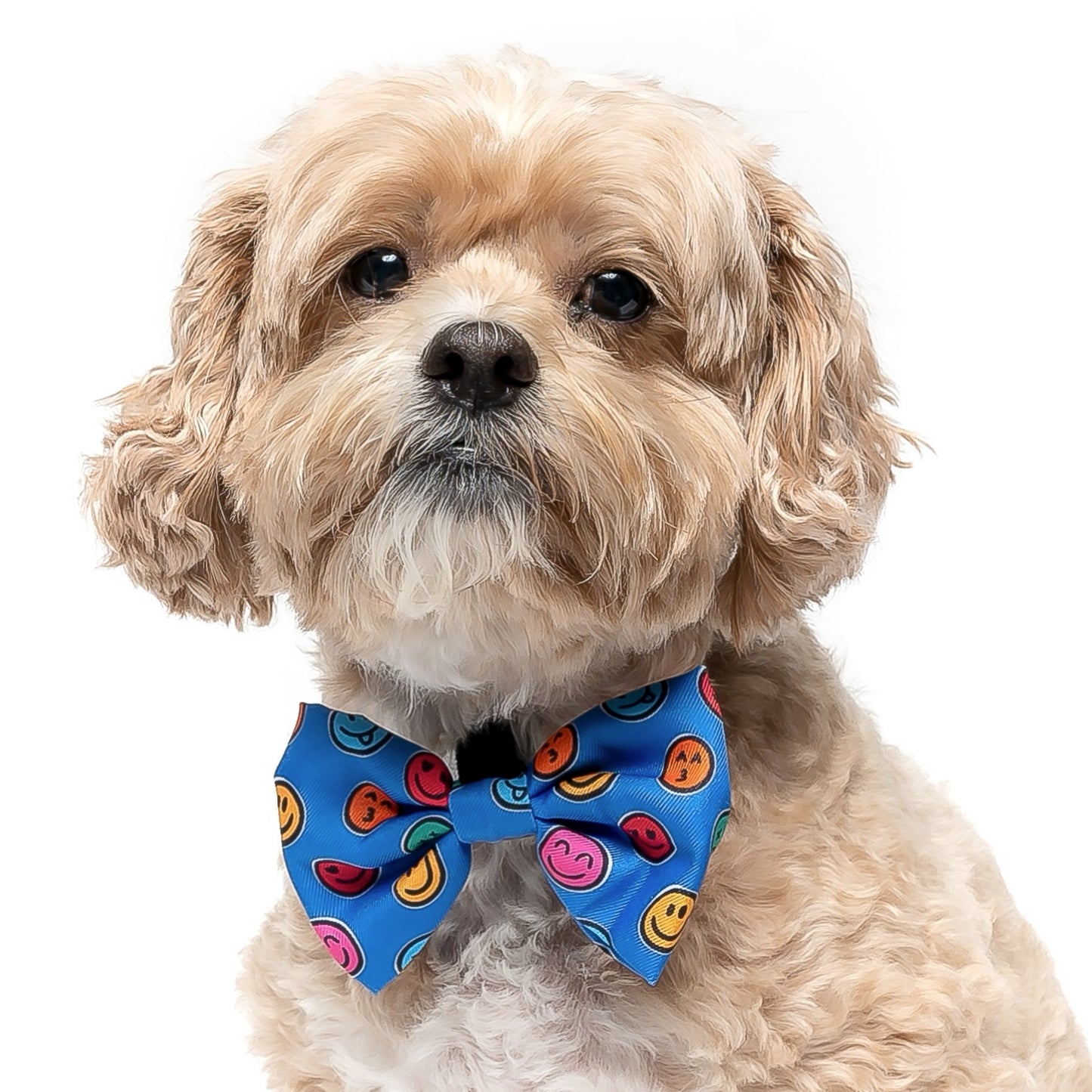 ROYAL BLUE EMOTIONS - BOW TIE