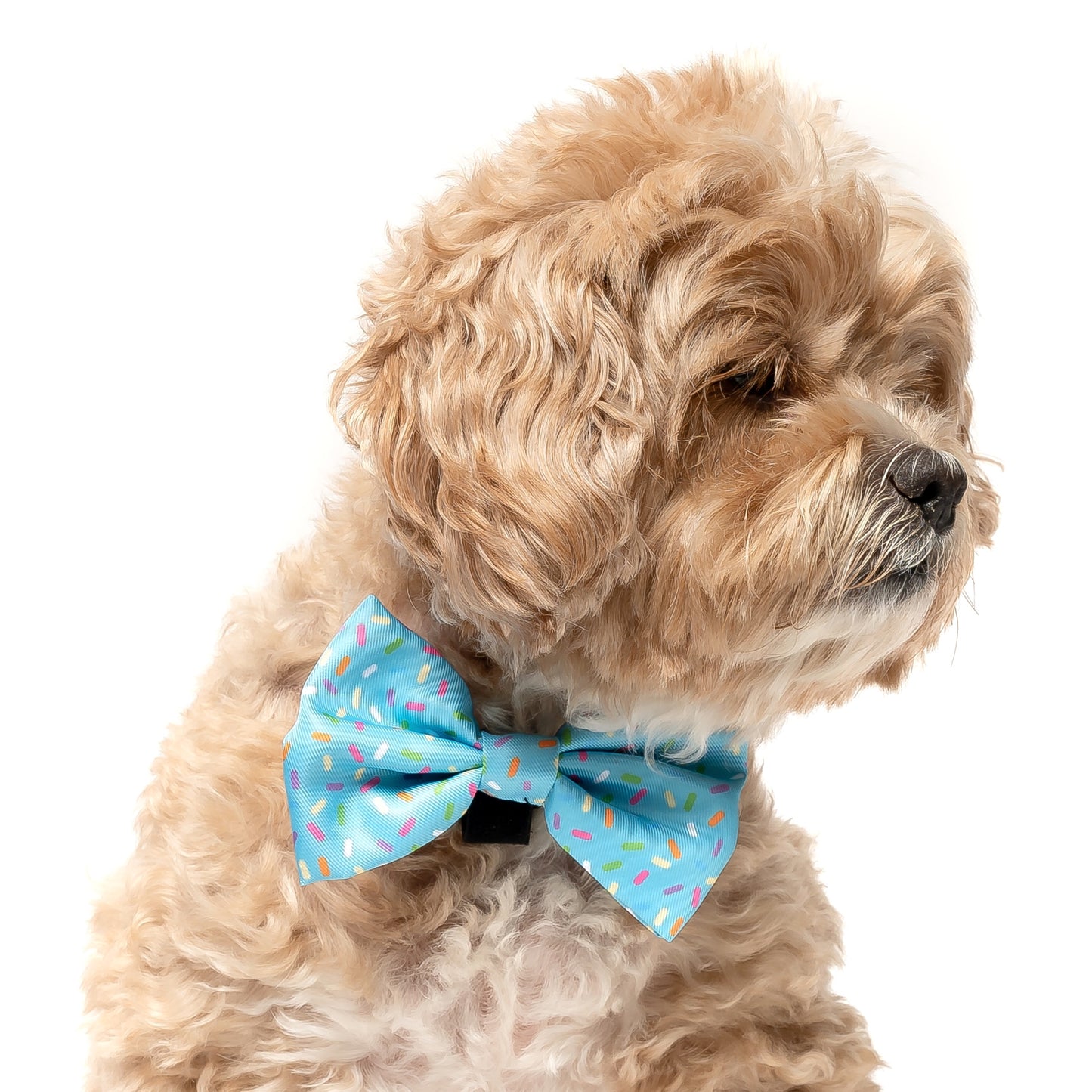 LIGHT BLUE SPRINKLES- BOW TIE