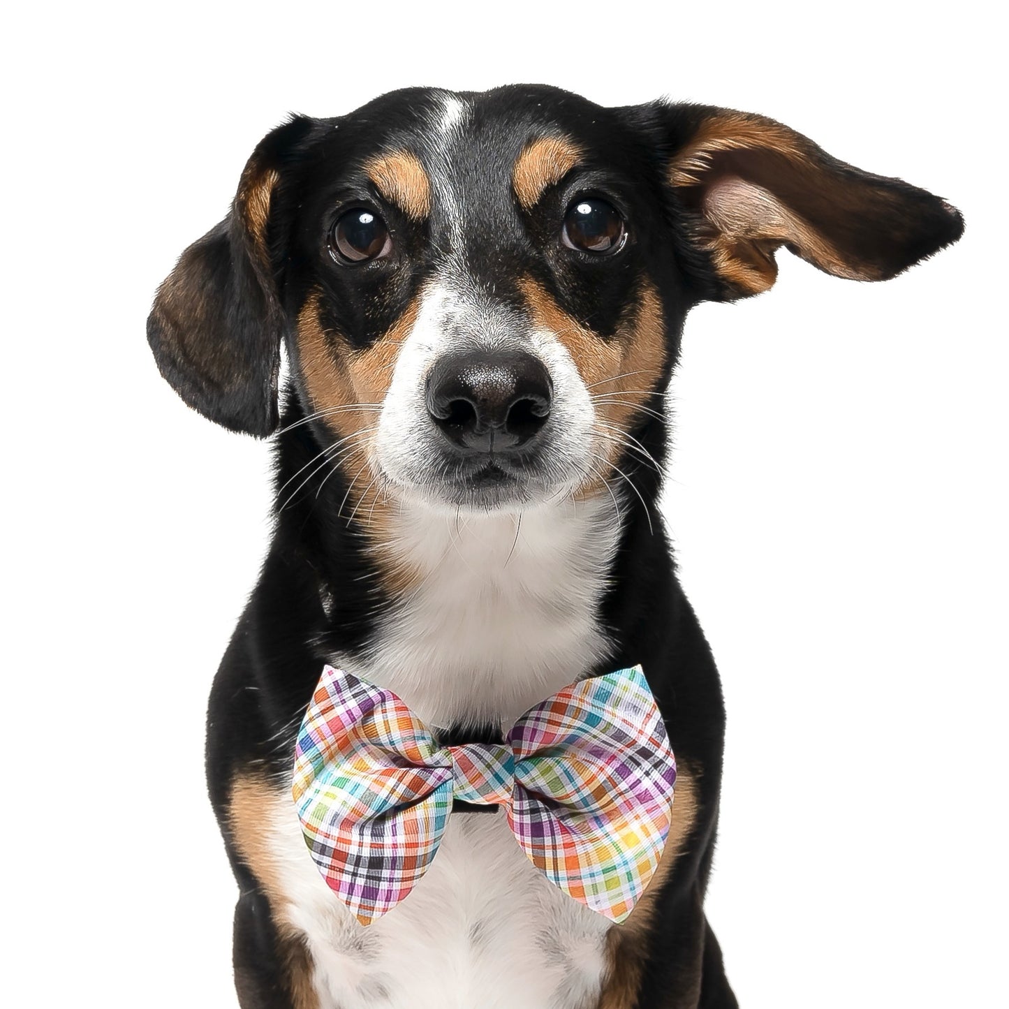 NEW FALL PLAID - BOW TIE