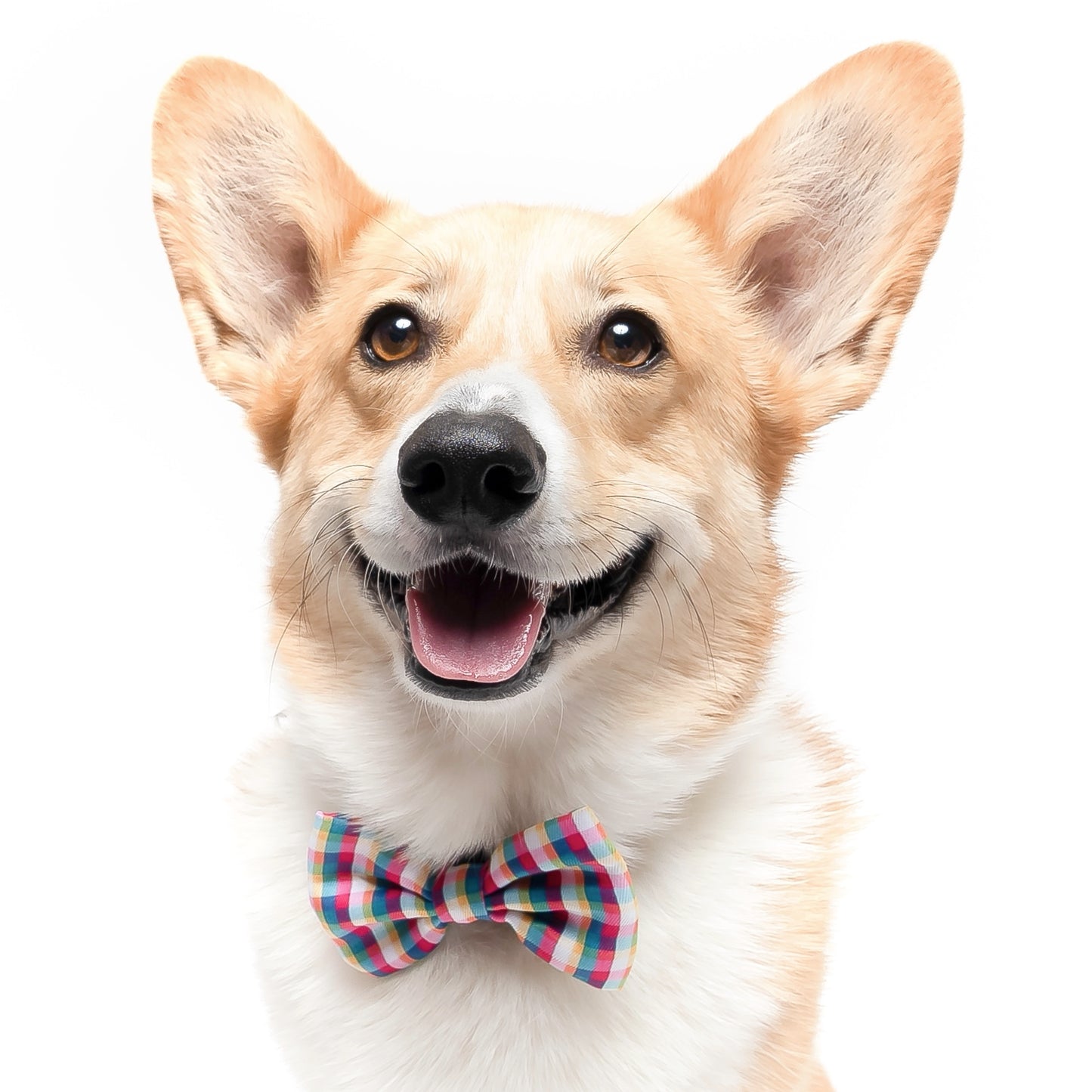YELLOW, MAGENTA & TEAL PLAID - BOW TIE