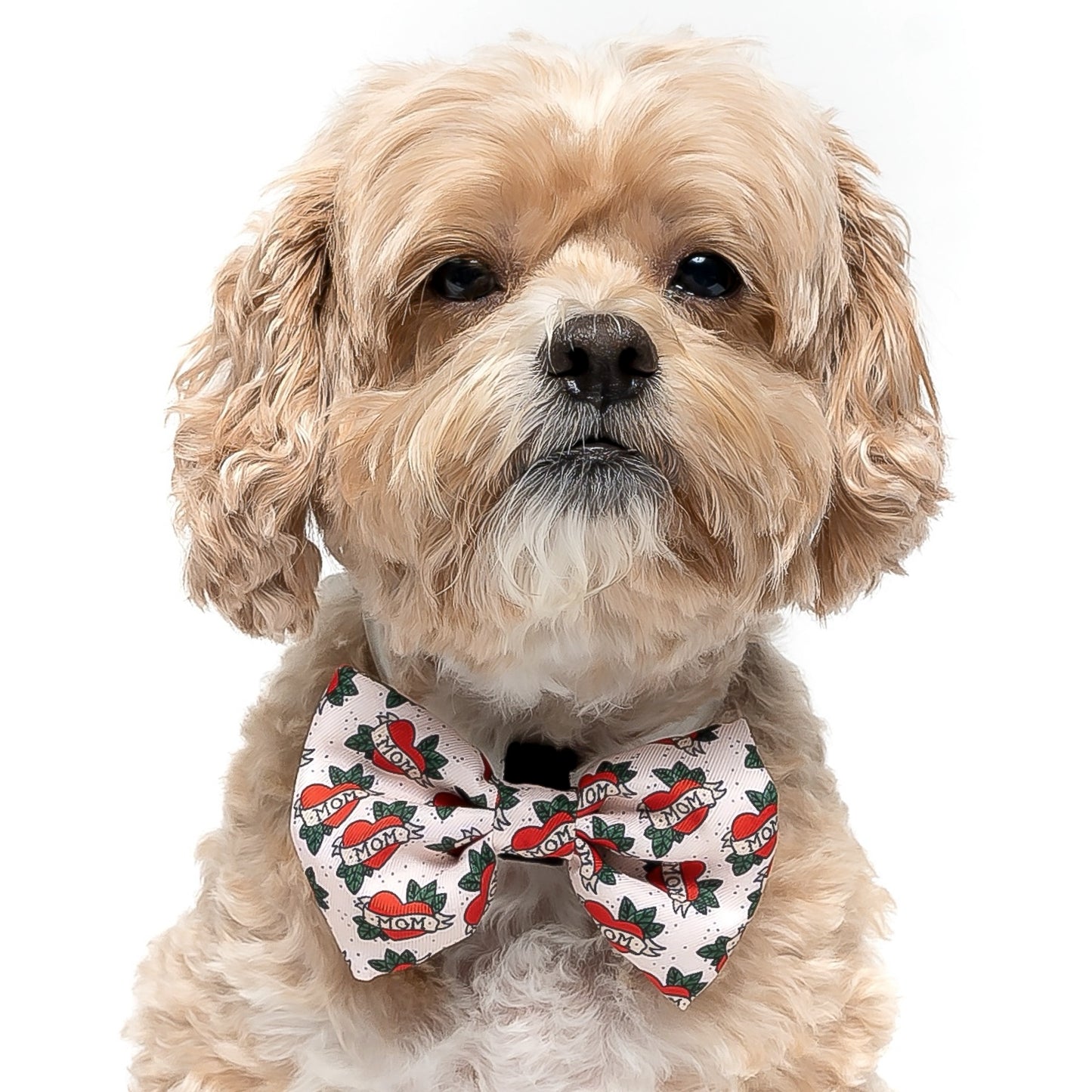 MOM - BOW TIE