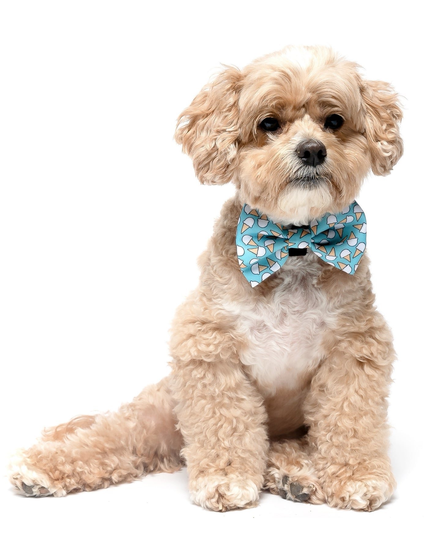 ICE CREAM- BOW TIE