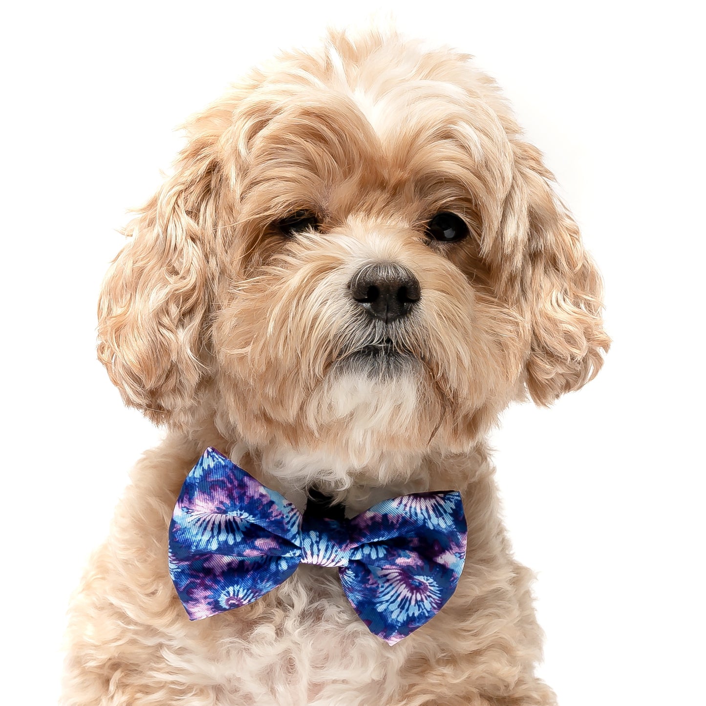 PURPLE & ROYAL BLUE TIE DYE - BOW TIE