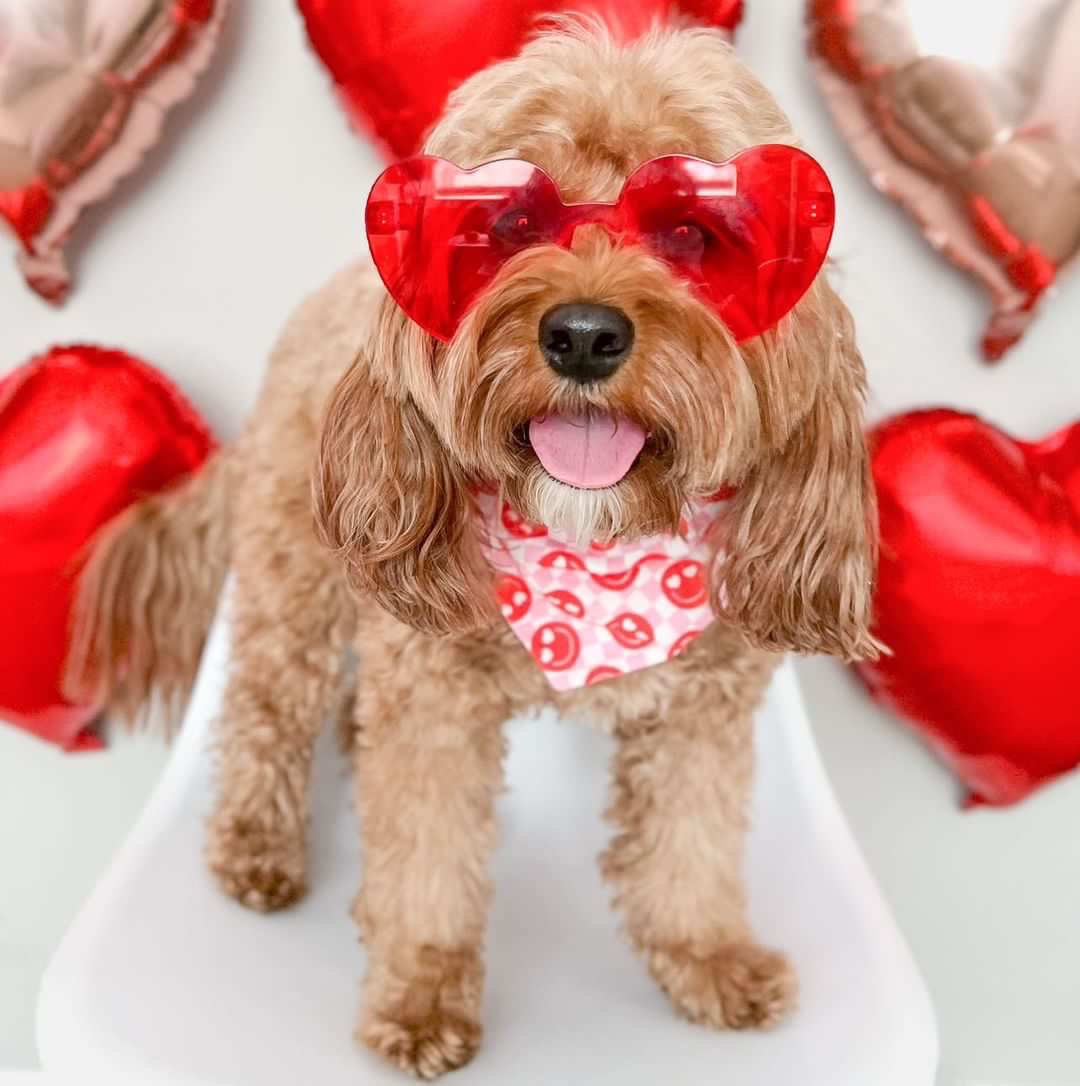 RETRO RED SMILES - CLASSIC DOG BANDANA BY DAPPER DEXTER