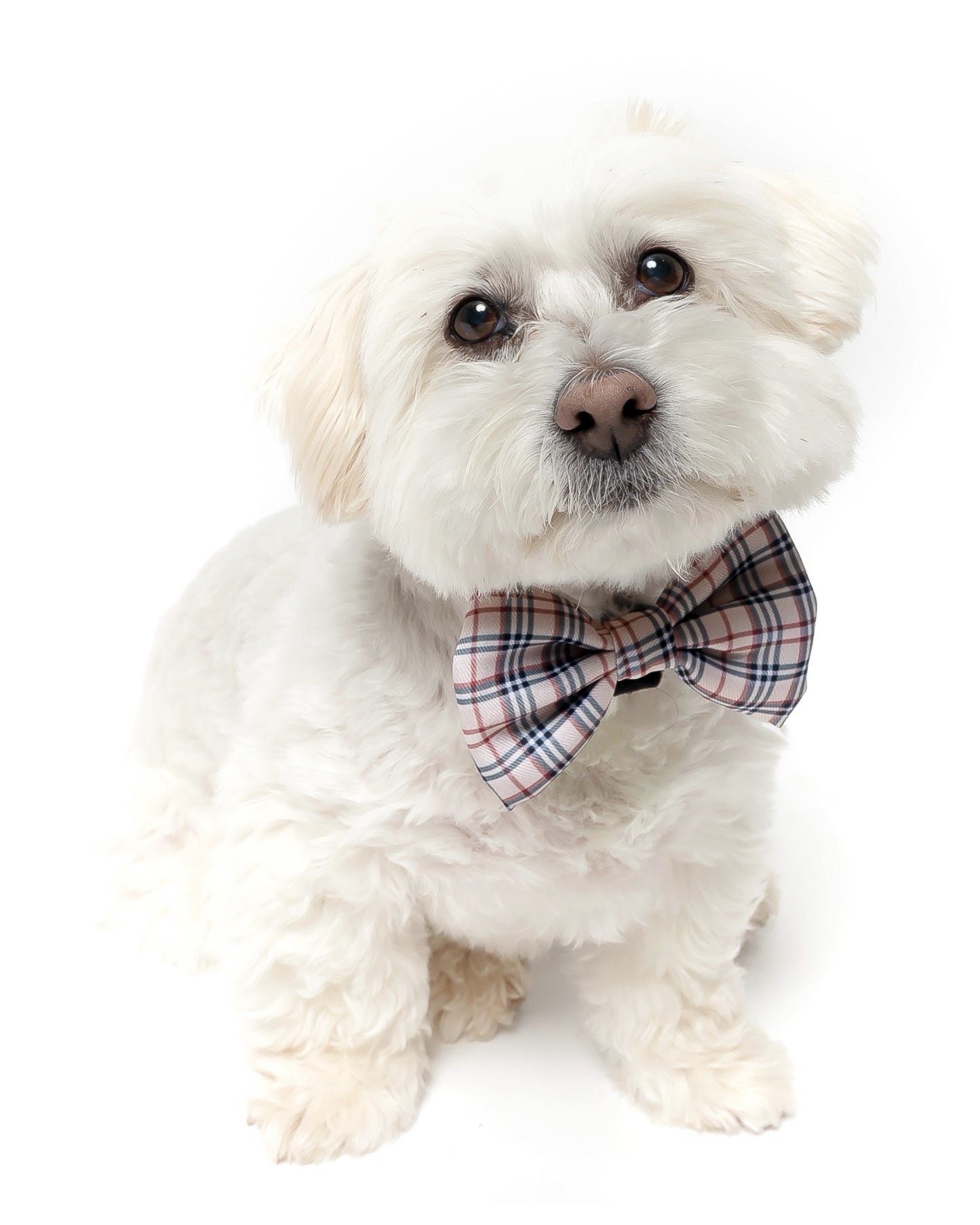 TAN PLAID - BOW TIE