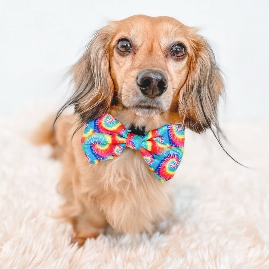 RAINBOW TIE DYE - BOW TIE