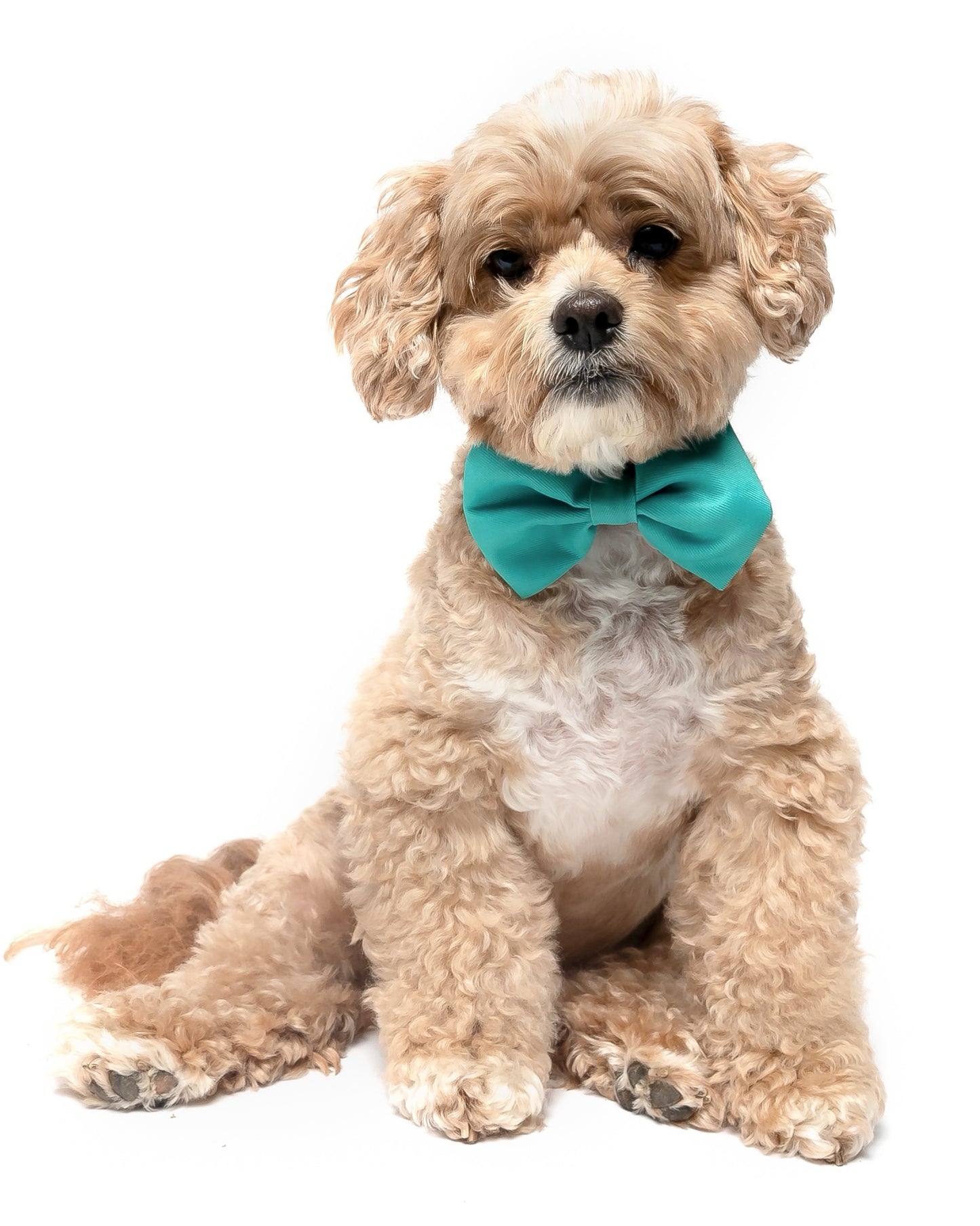 GREEN - BOW TIE