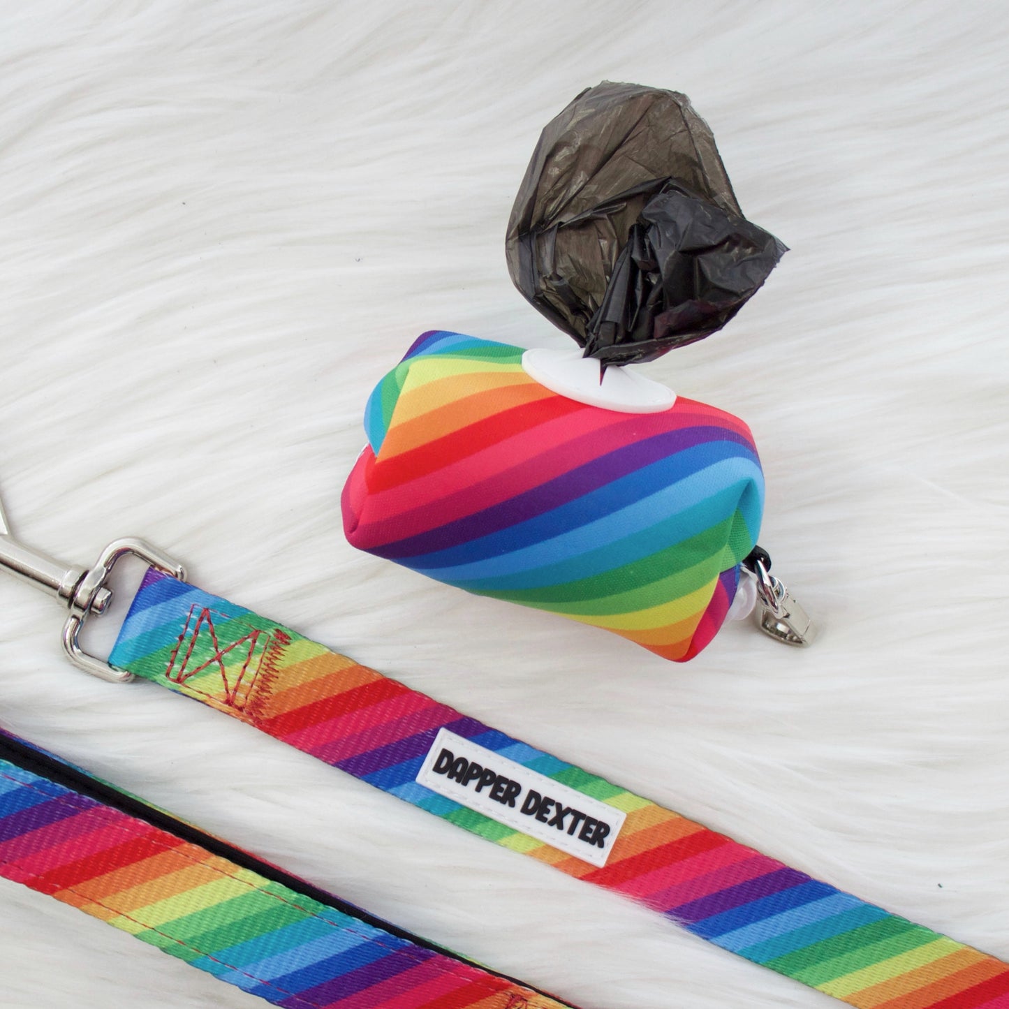 RAINBOW STRIPES LEASH BAG