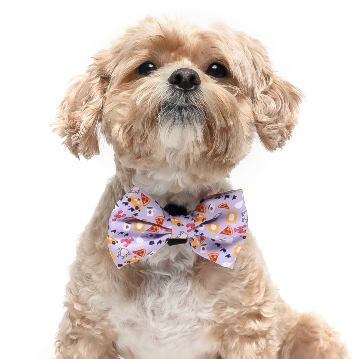 FURIENDS - BOW TIE