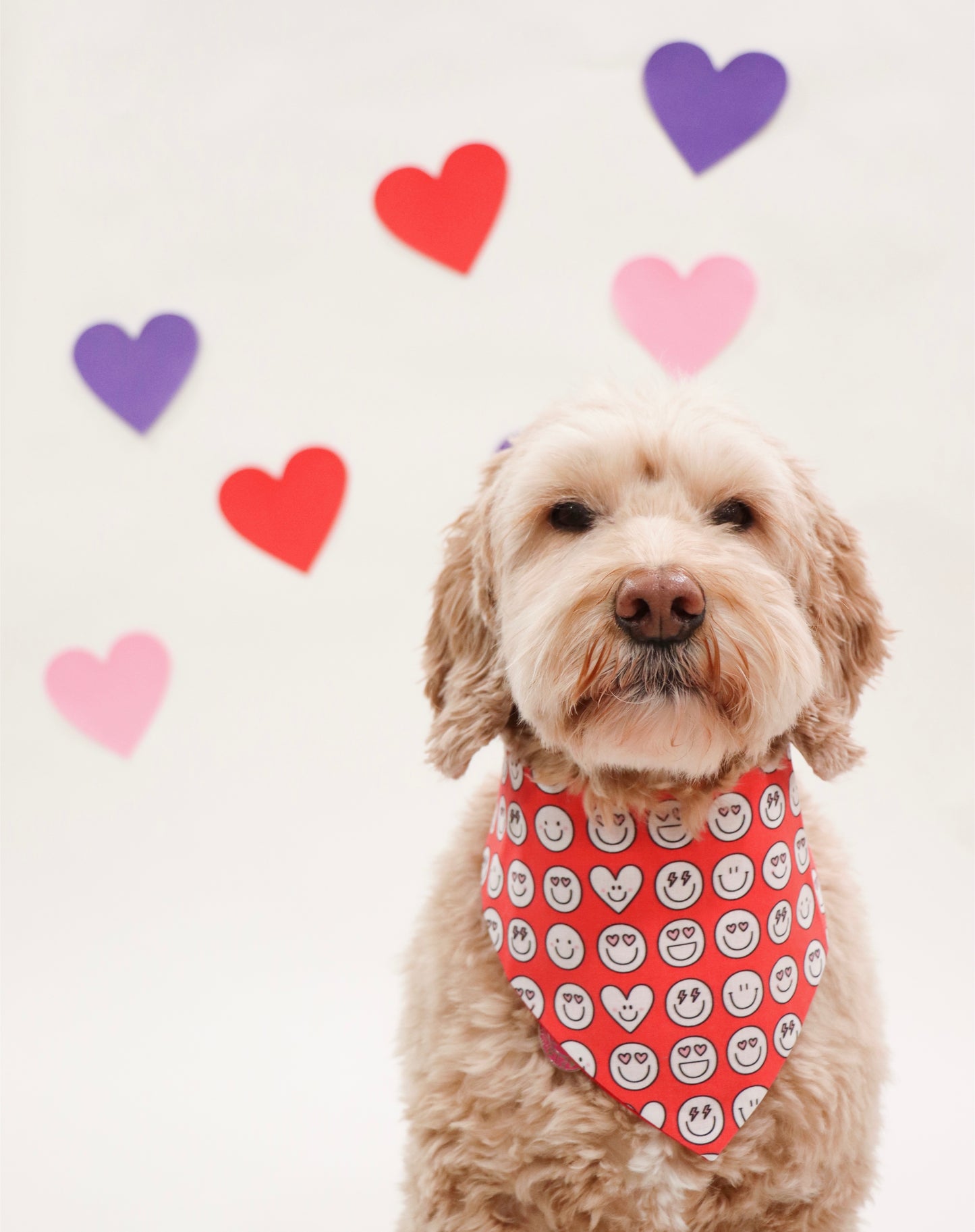 RED SMILE EMOJIS - CLASSIC DOG BANDANA