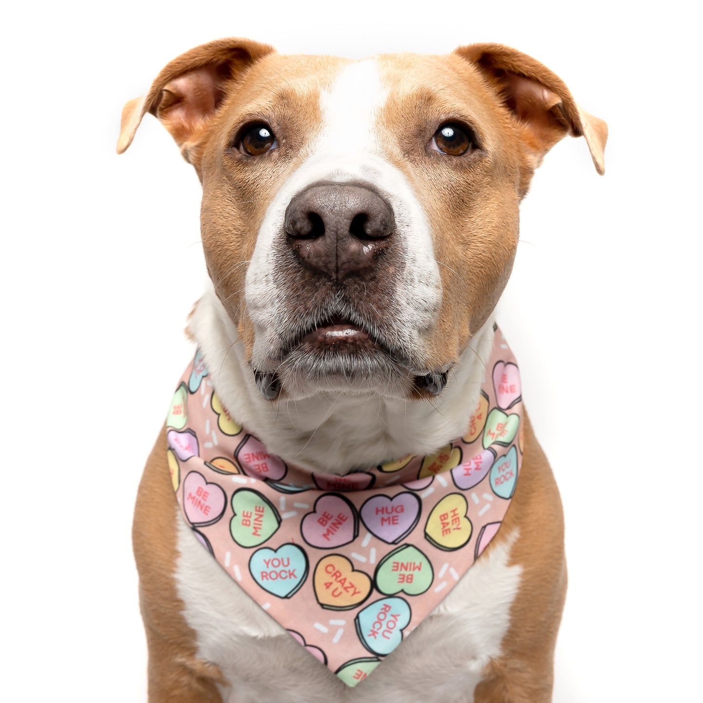 TAN CANDY HEARTS - CLASSIC DOG BANDANA