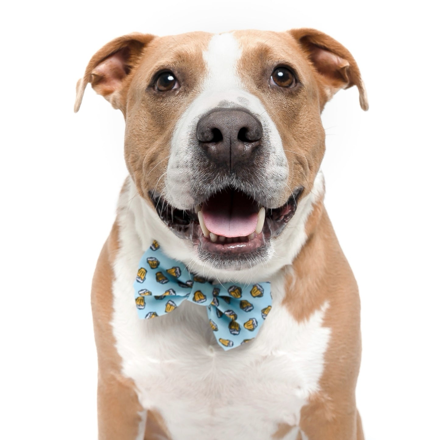 BEER - BOW TIE