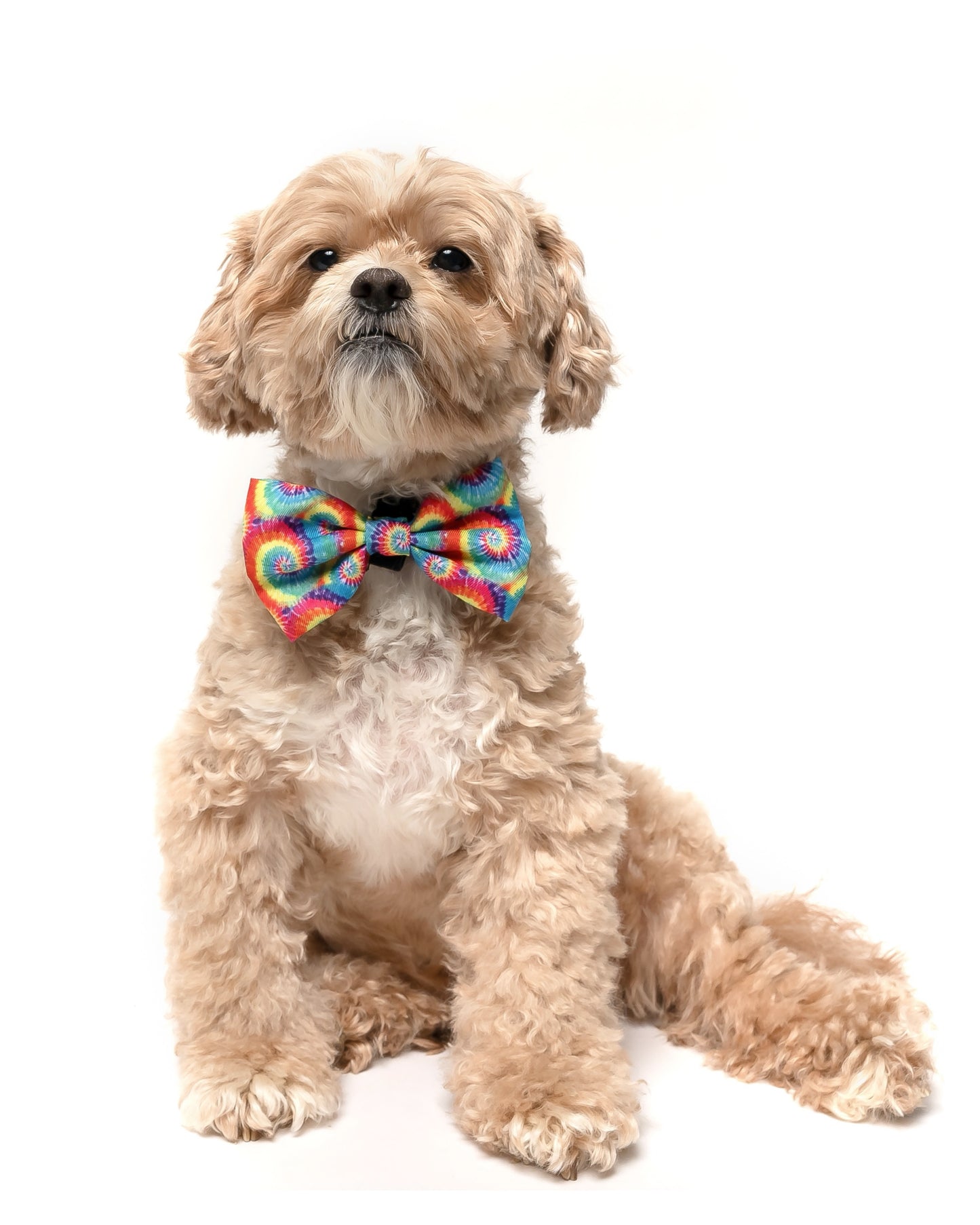 RAINBOW TIE DYE - BOW TIE
