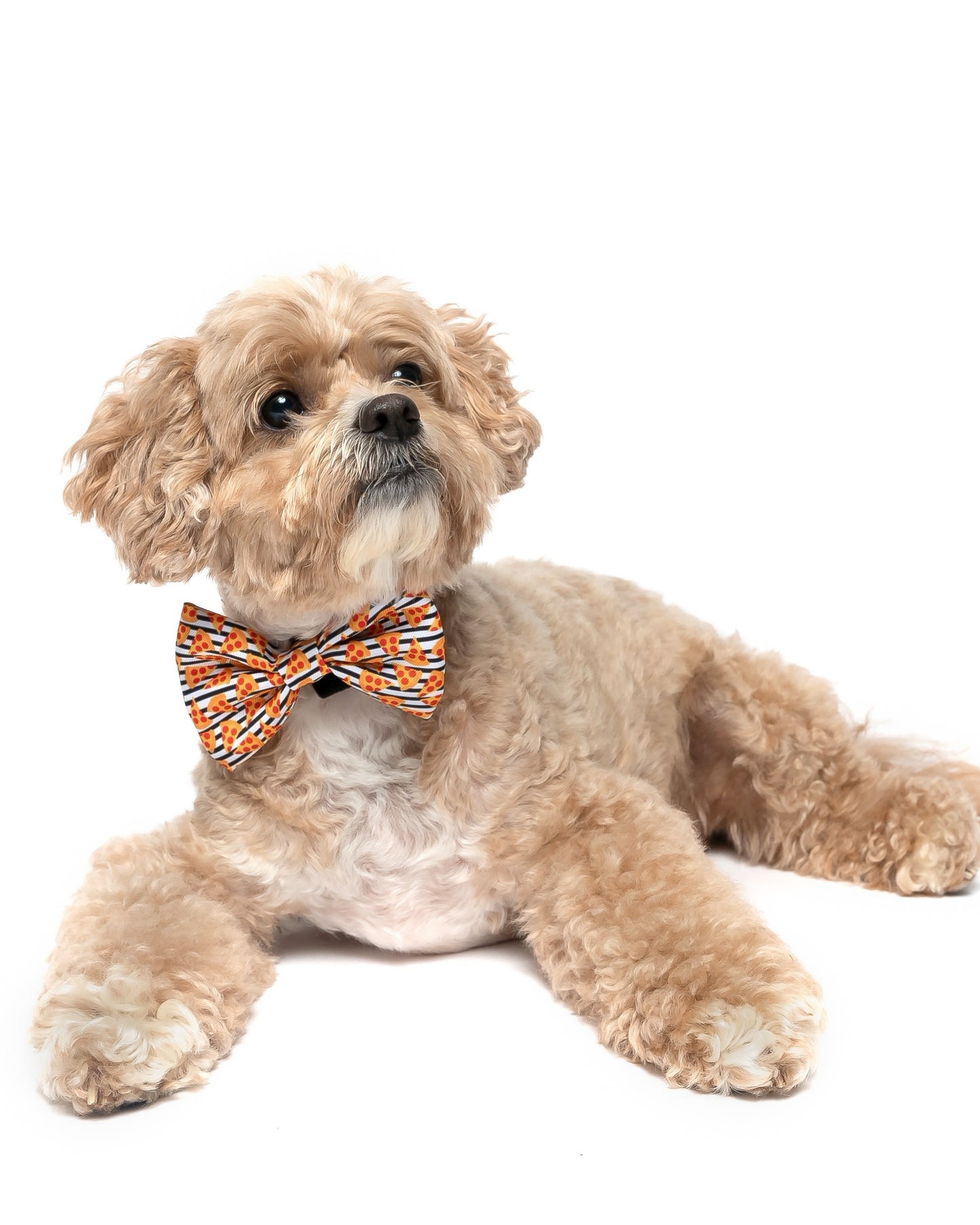 PIZZA WITH STRIPES - BOW TIE