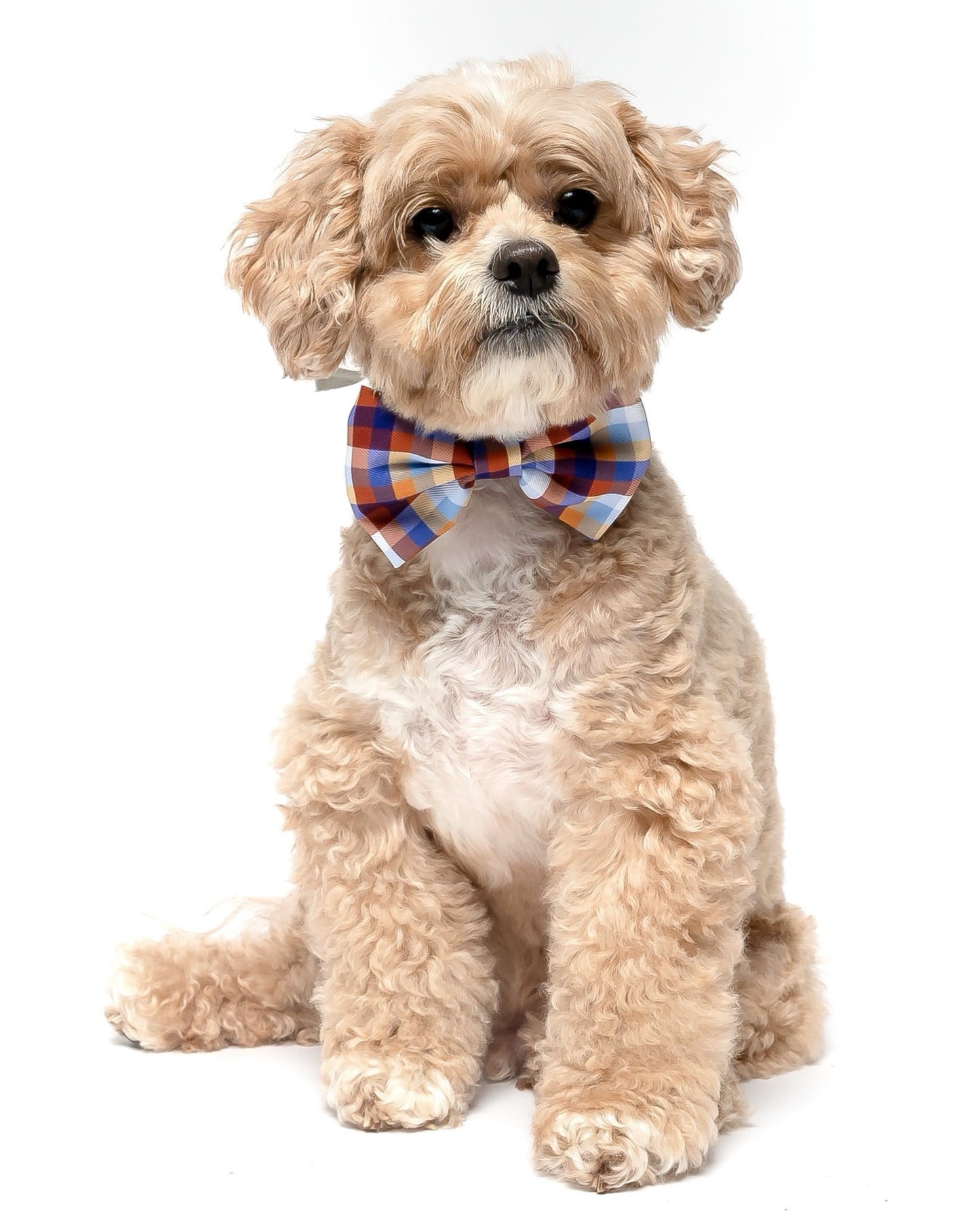 FALL PLAID - BOW TIE