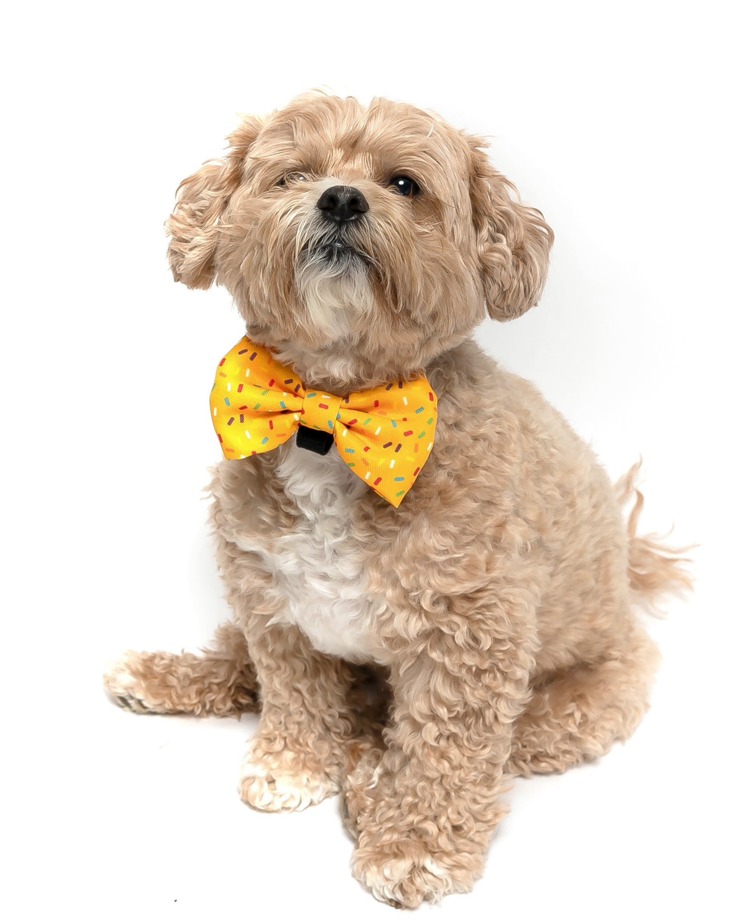 YELLOW SPRINKLES - BOW TIE