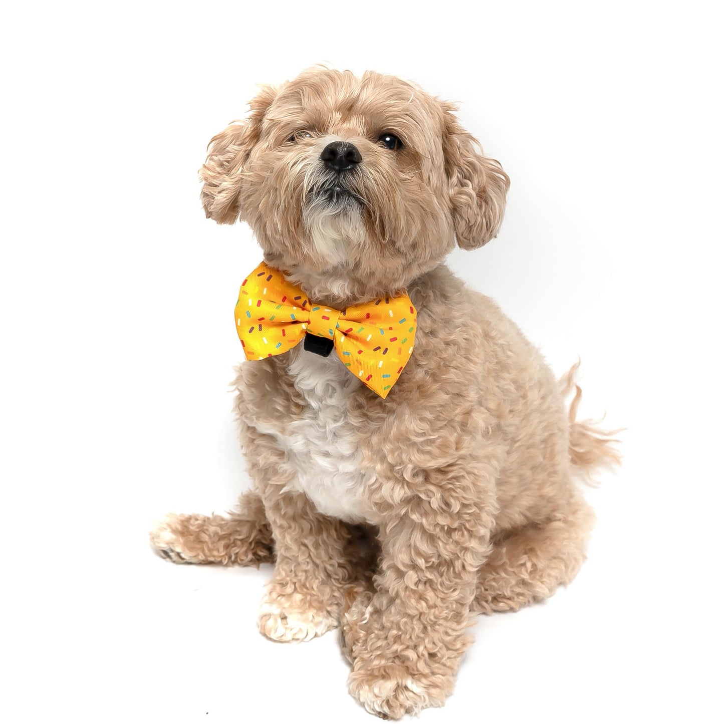 YELLOW SPRINKLES - BOW TIE
