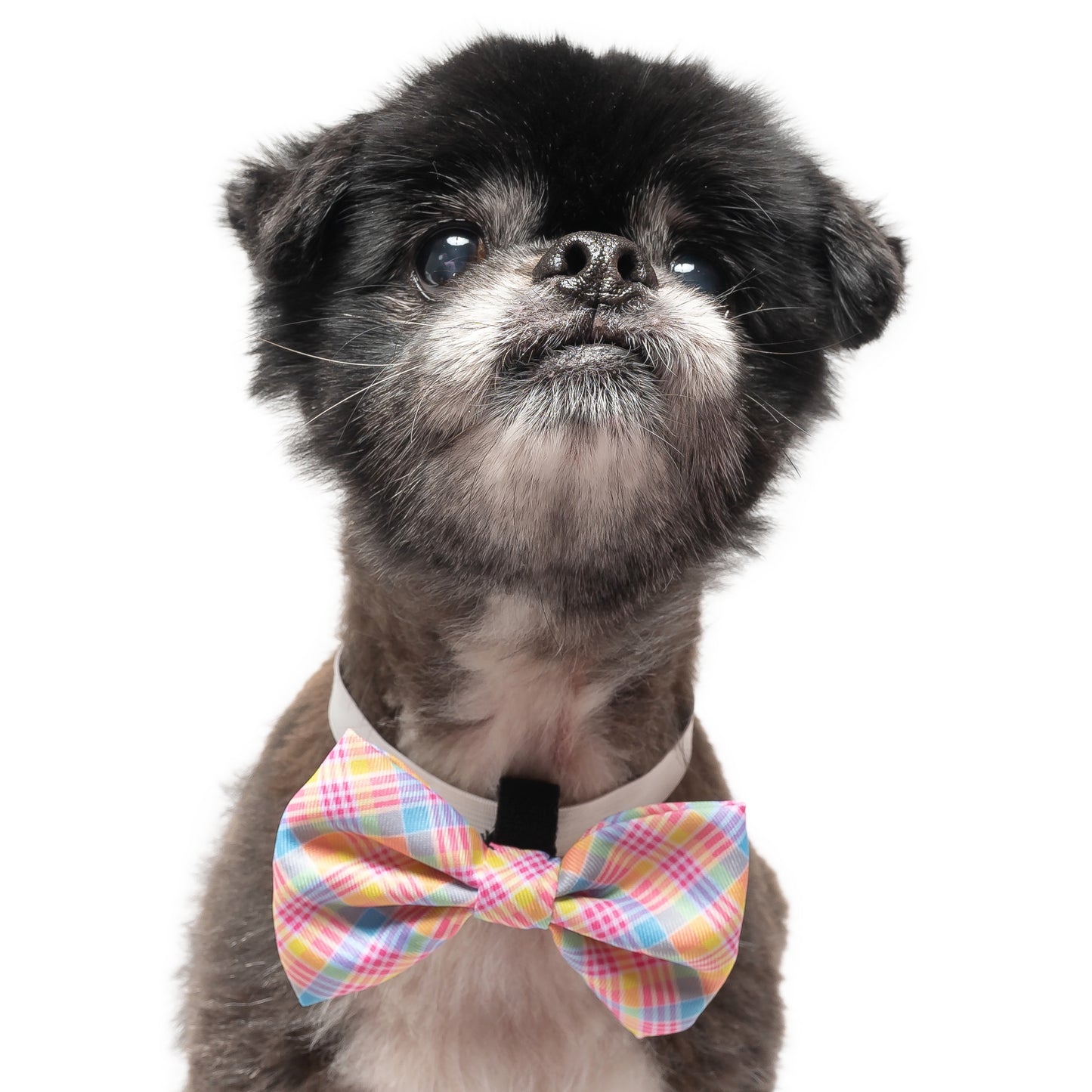 YELLOW SPRING PLAID - BOW TIE