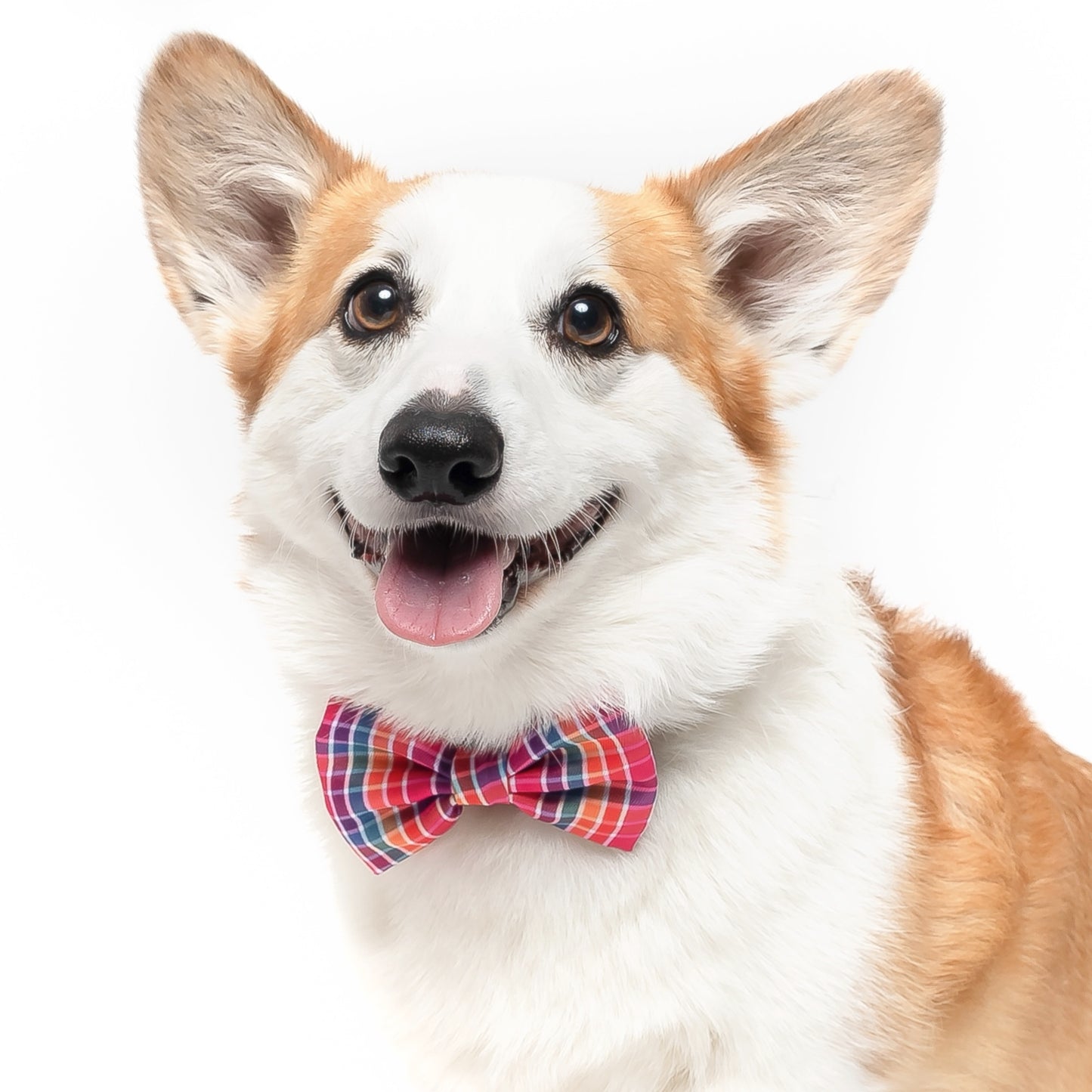 SUMMER PLAID - BOW TIE