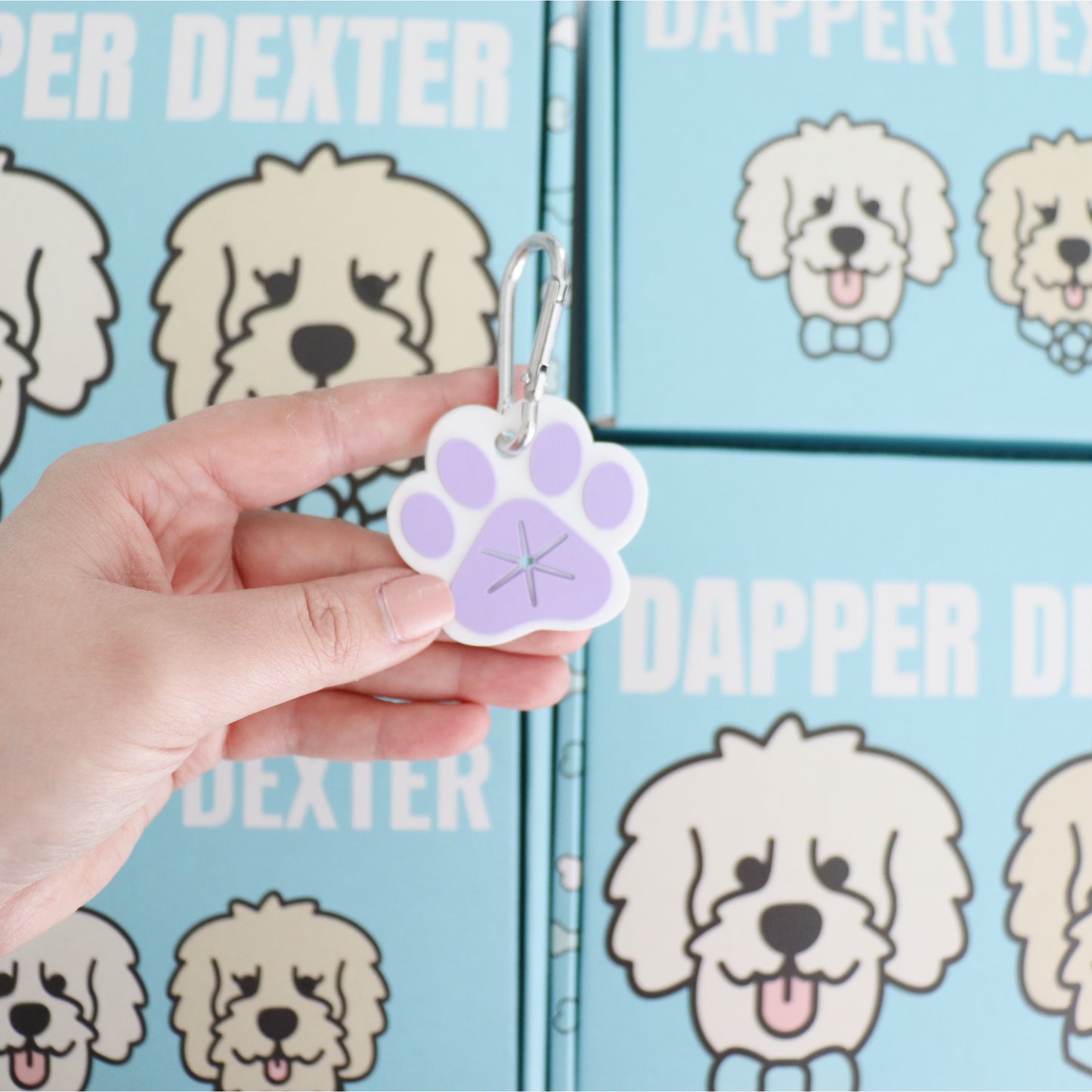 LAVENDER PAW PRINT - POO BAG HOLDER