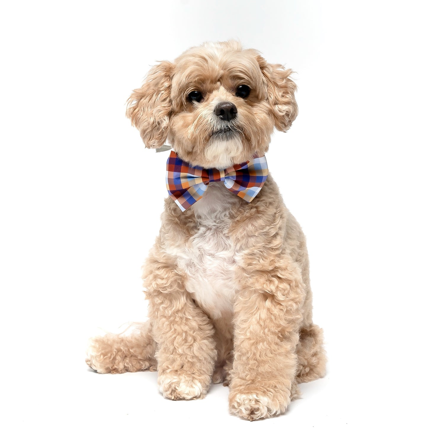FALL PLAID - BOW TIE
