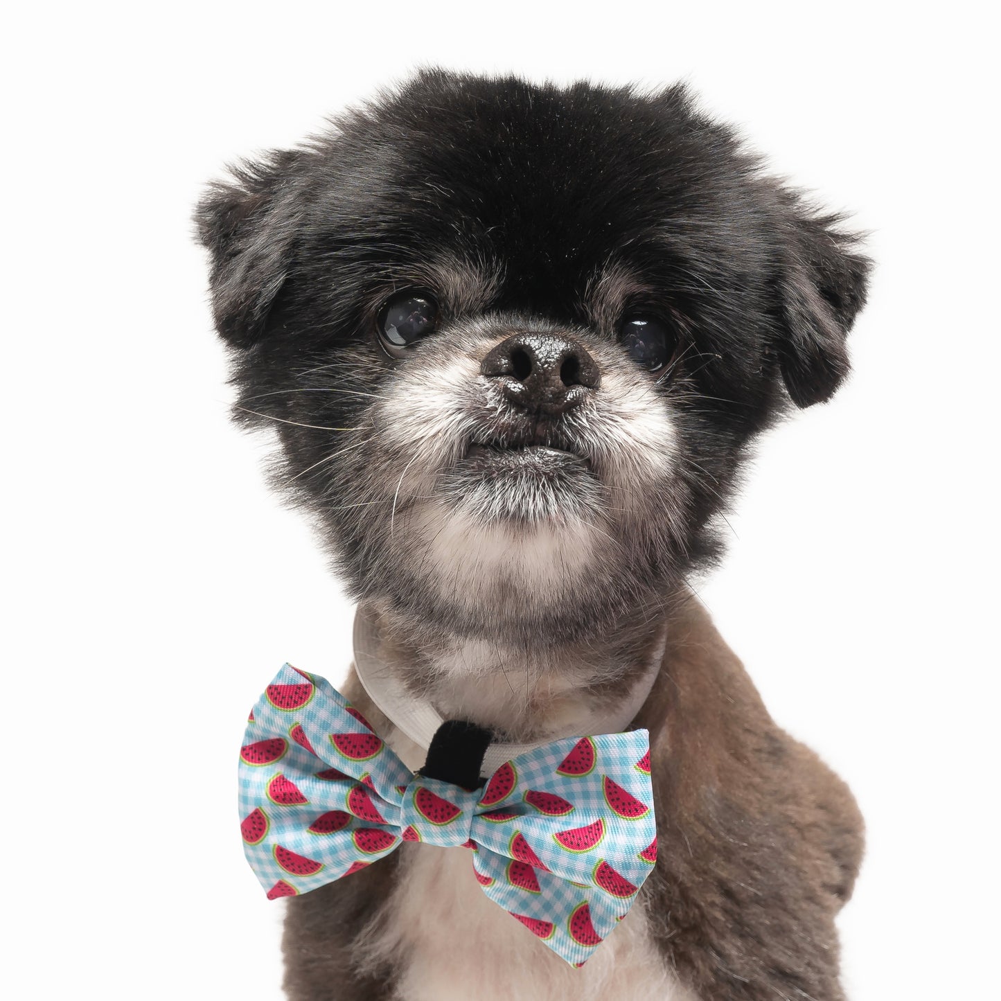 WATERMELON PLAID - BOW TIE