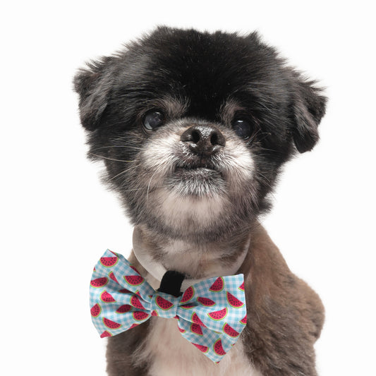 WATERMELON PLAID -  BOW TIE
