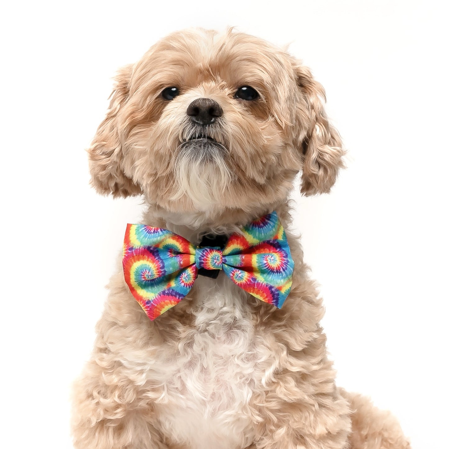 RAINBOW TIE DYE - BOW TIE