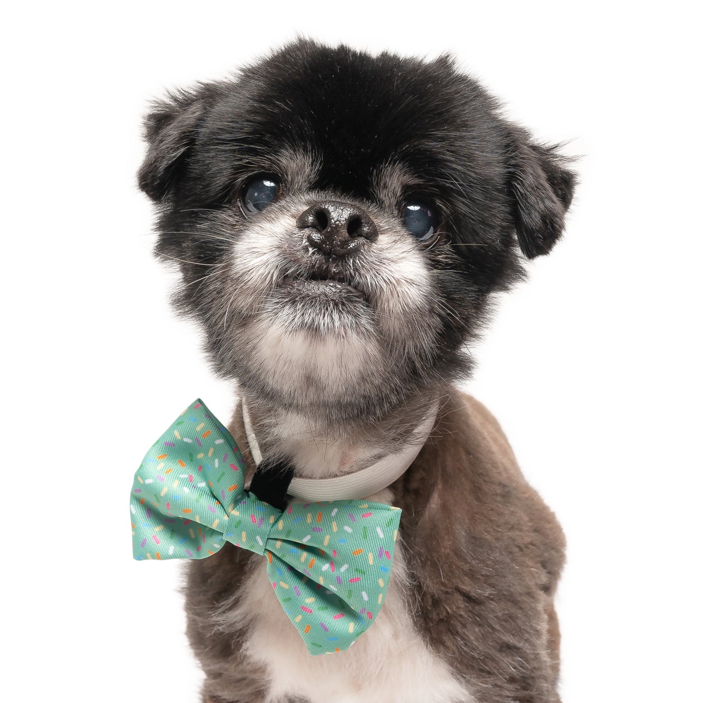 GREEN SPRINKLES - BOW TIE
