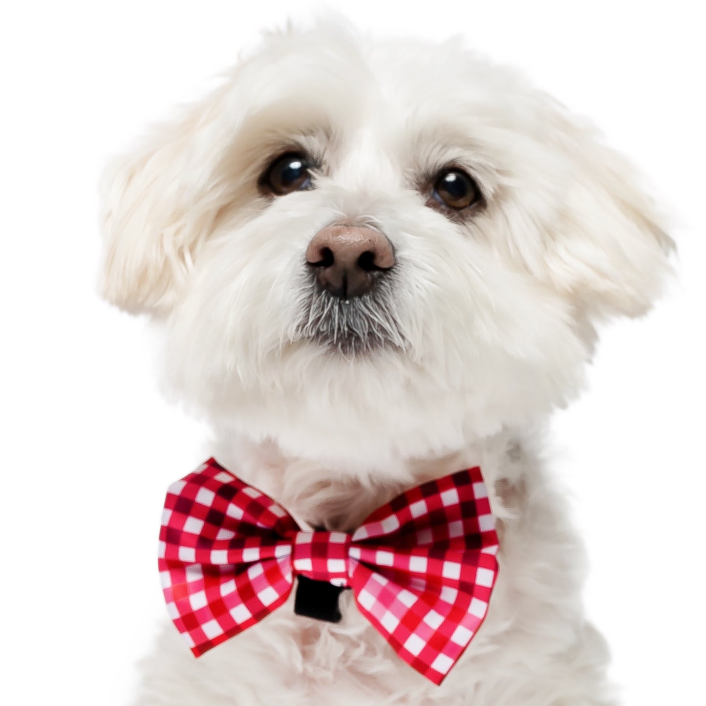 SWEETHEART PLAID- BOW TIE