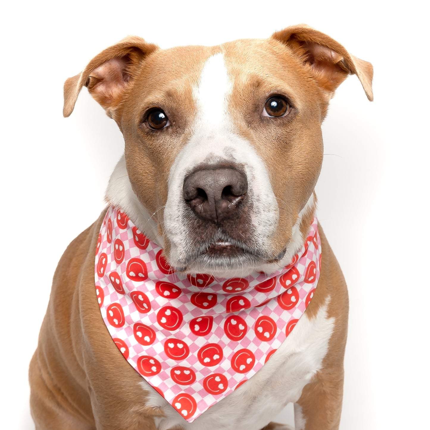 RETRO RED SMILES - CLASSIC DOG BANDANA