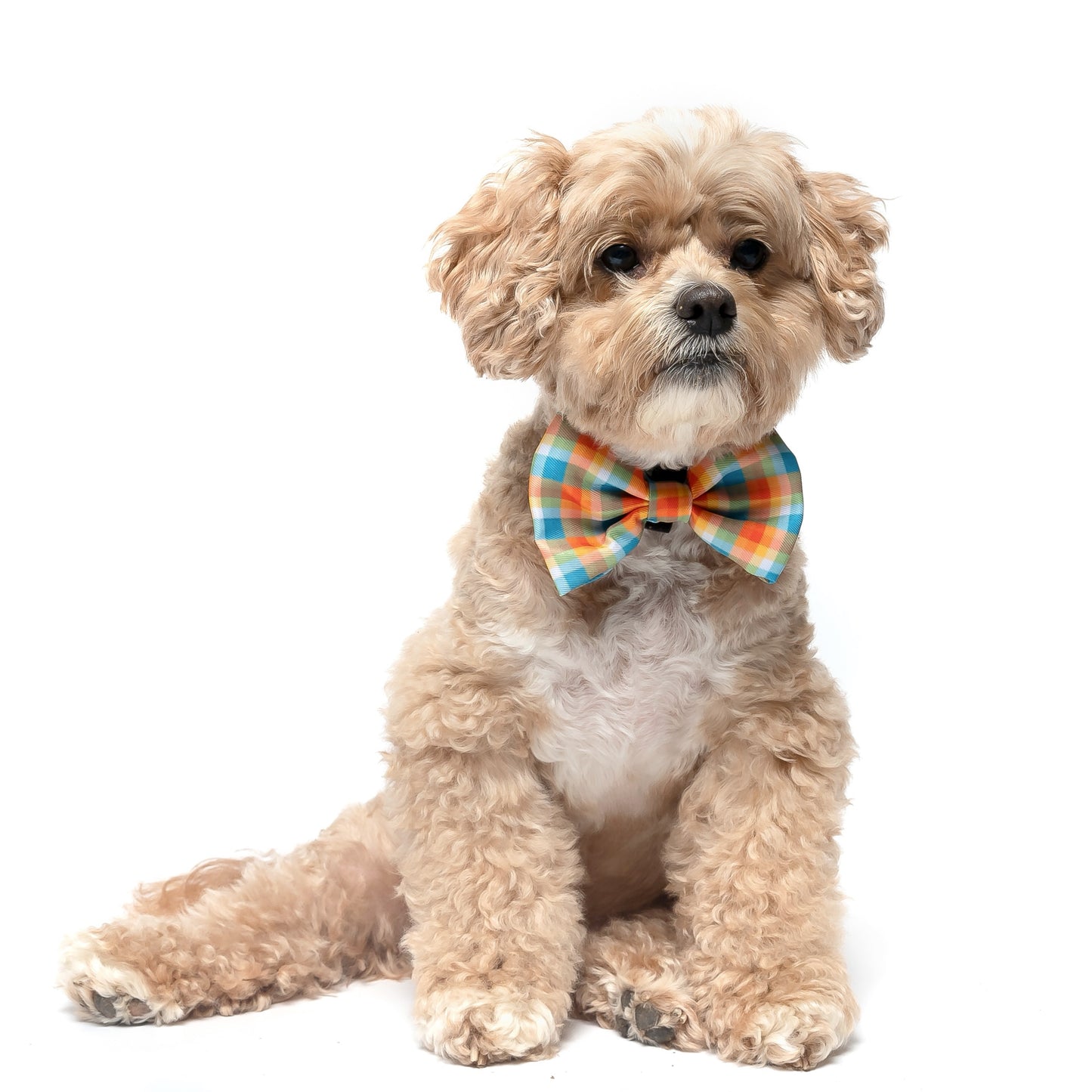 ORANGE AND TEAL PLAID - BOW TIE