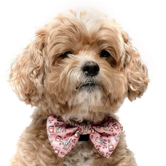 COFFEE - BOW TIE