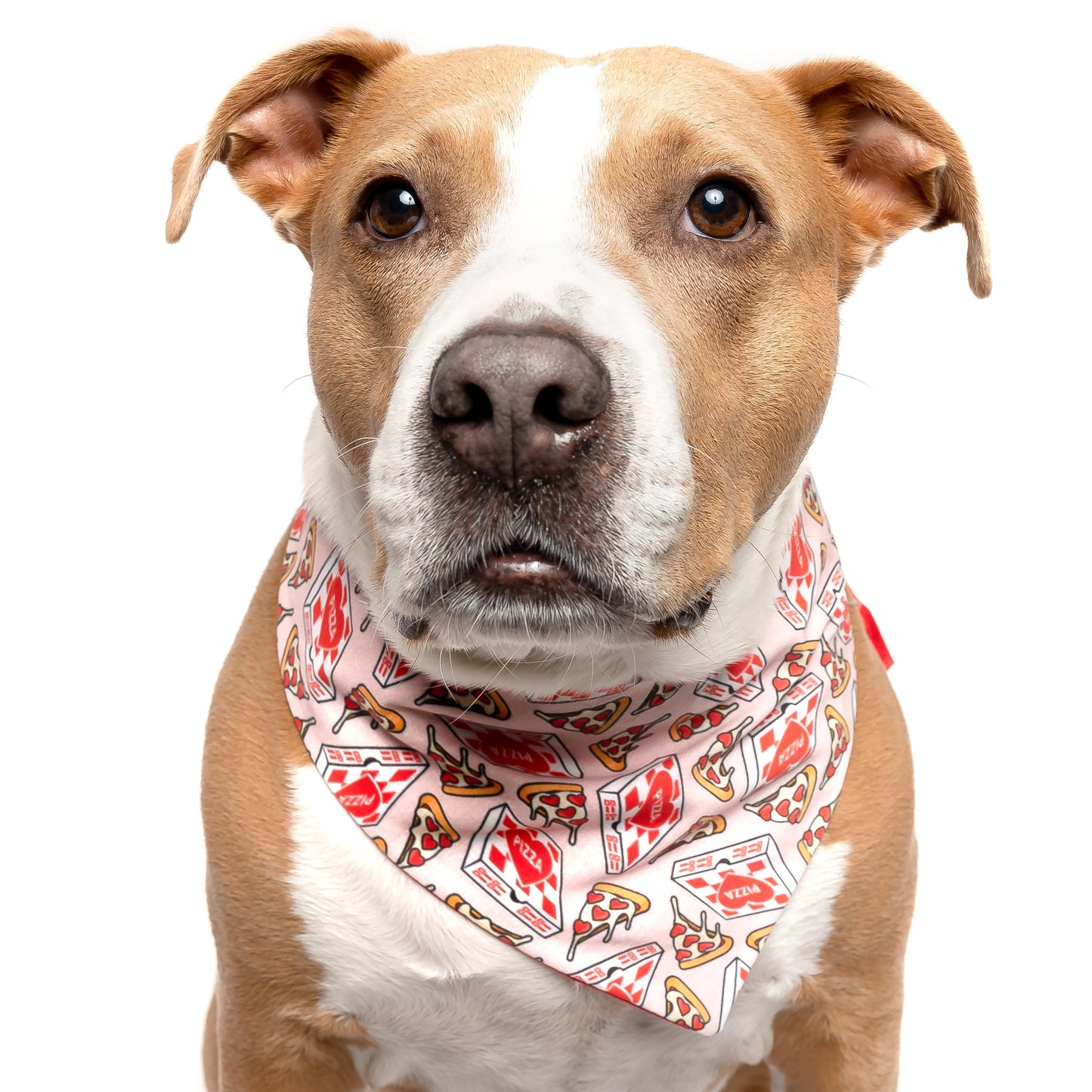 PIZZA - CLASSIC DOG BANDANA