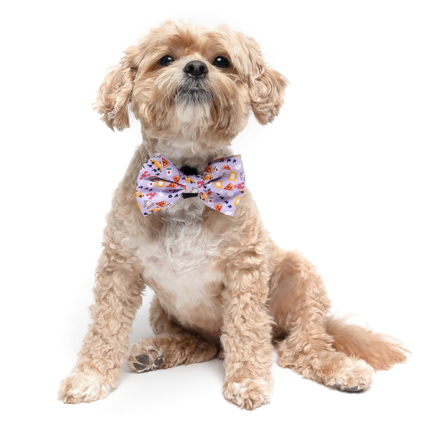 FURIENDS - BOW TIE