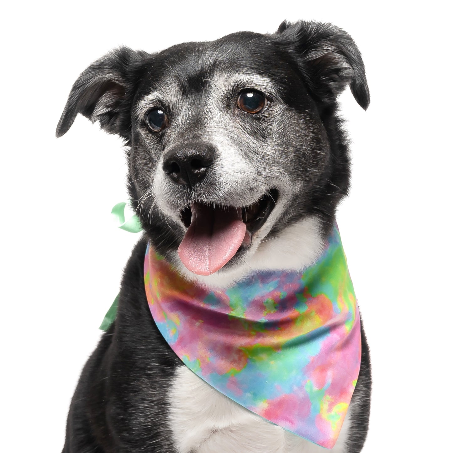 NEON TIE DYE- CLASSIC DOG BANDANA