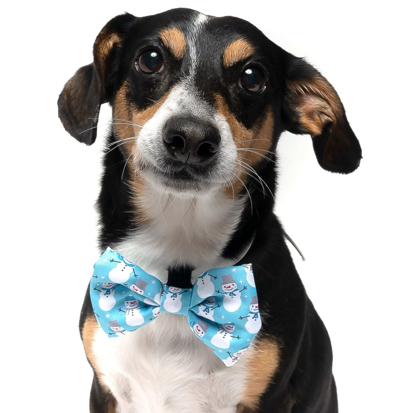 SNOWMAN - BOW TIE
