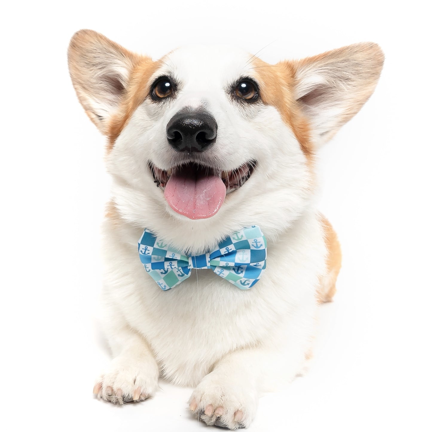 ANCHORS - BOW TIE
