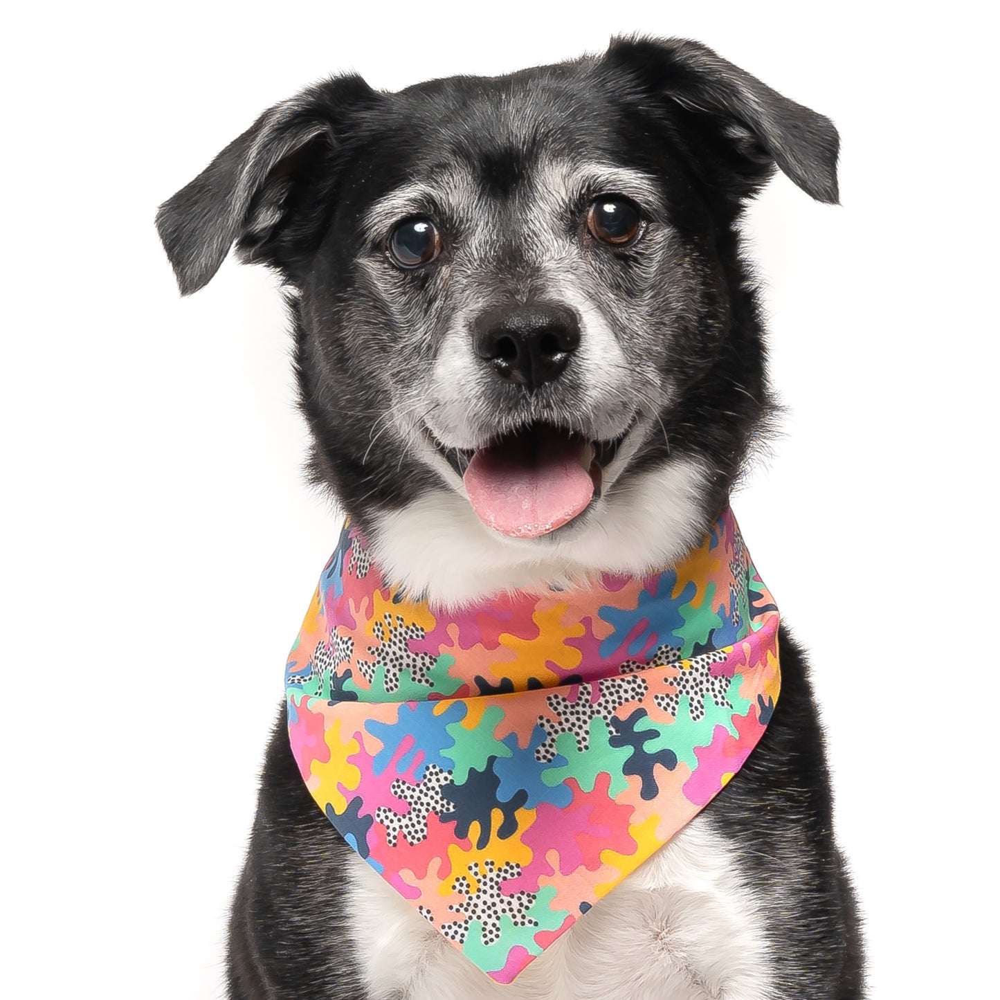 ABSTRACT SPLAT - CLASSIC DOG BANDANA