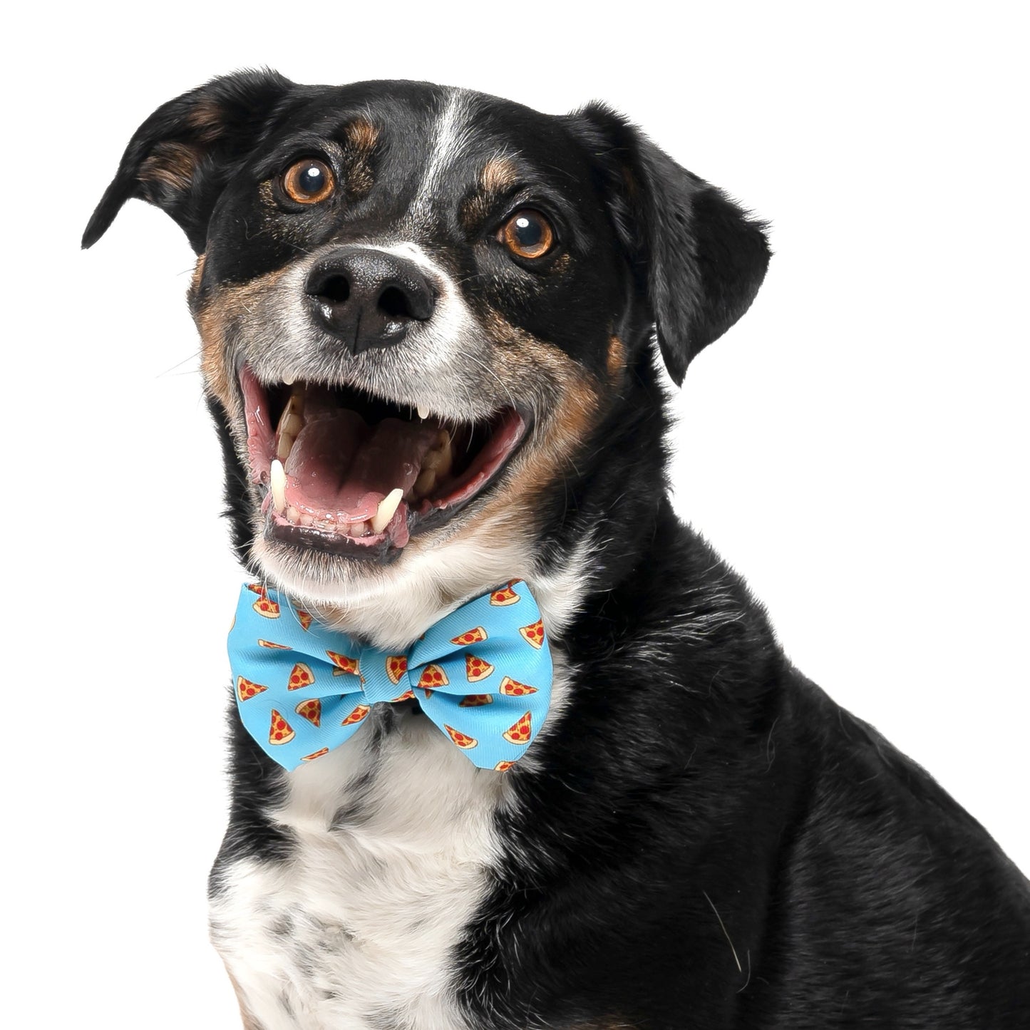 LIGHT BLUE PIZZA - BOW TIE
